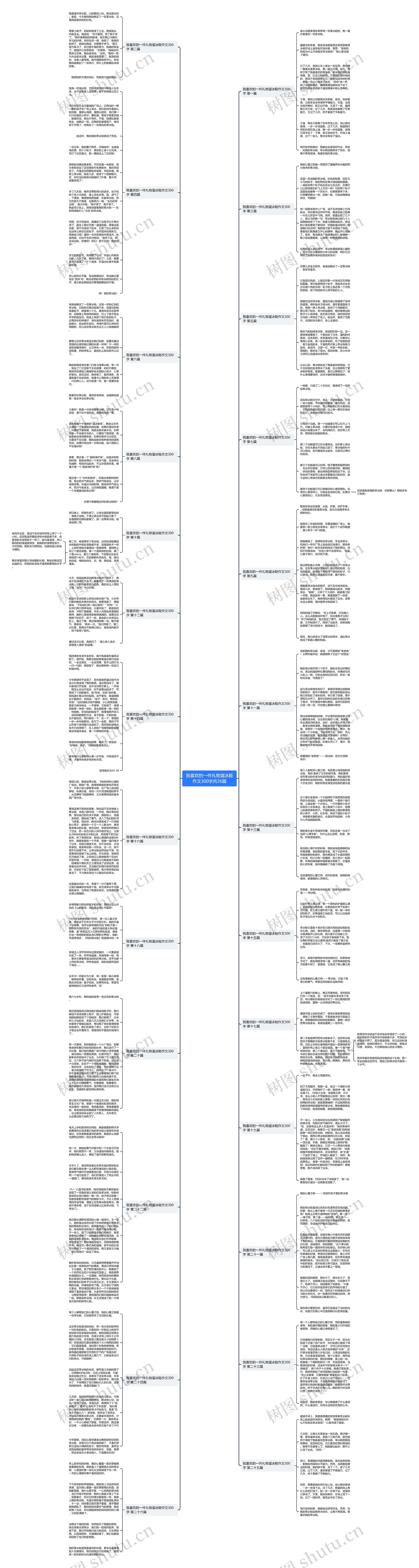 我喜欢的一件礼物溜冰鞋作文300字共26篇思维导图