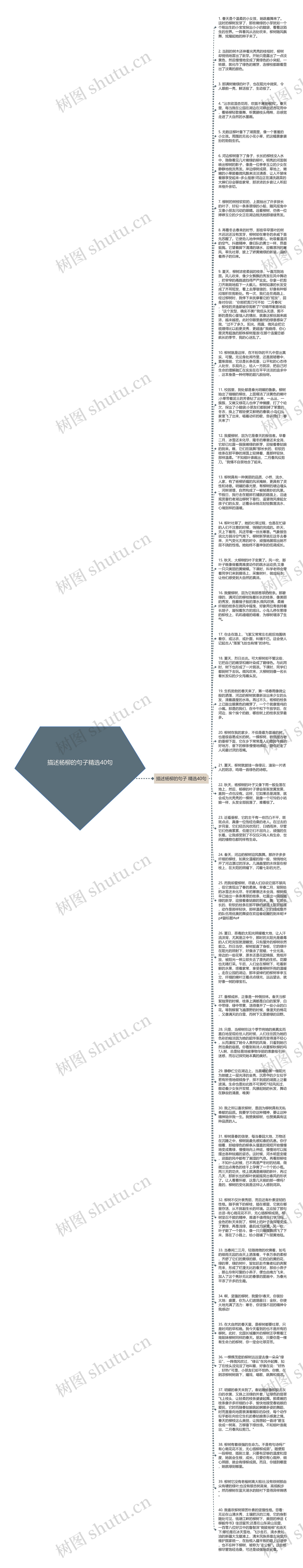 描述杨柳的句子精选40句思维导图