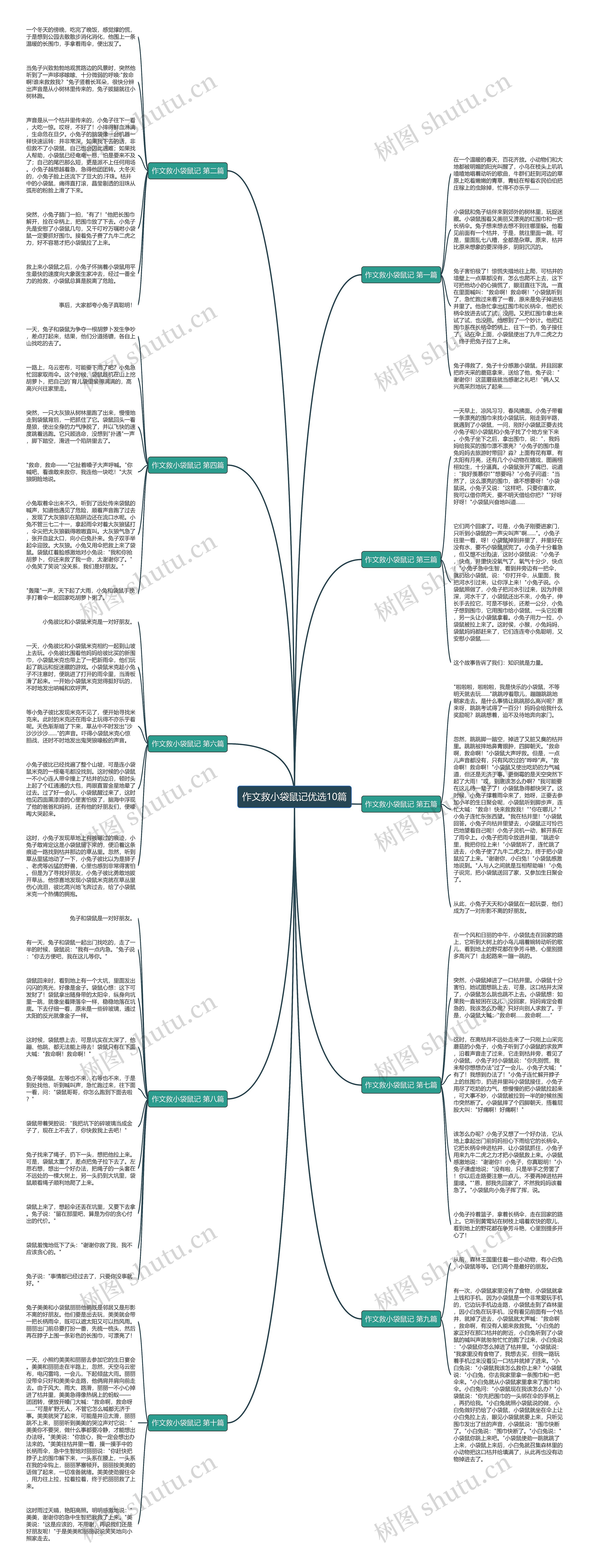 作文救小袋鼠记优选10篇 作文救小袋鼠记优选10篇