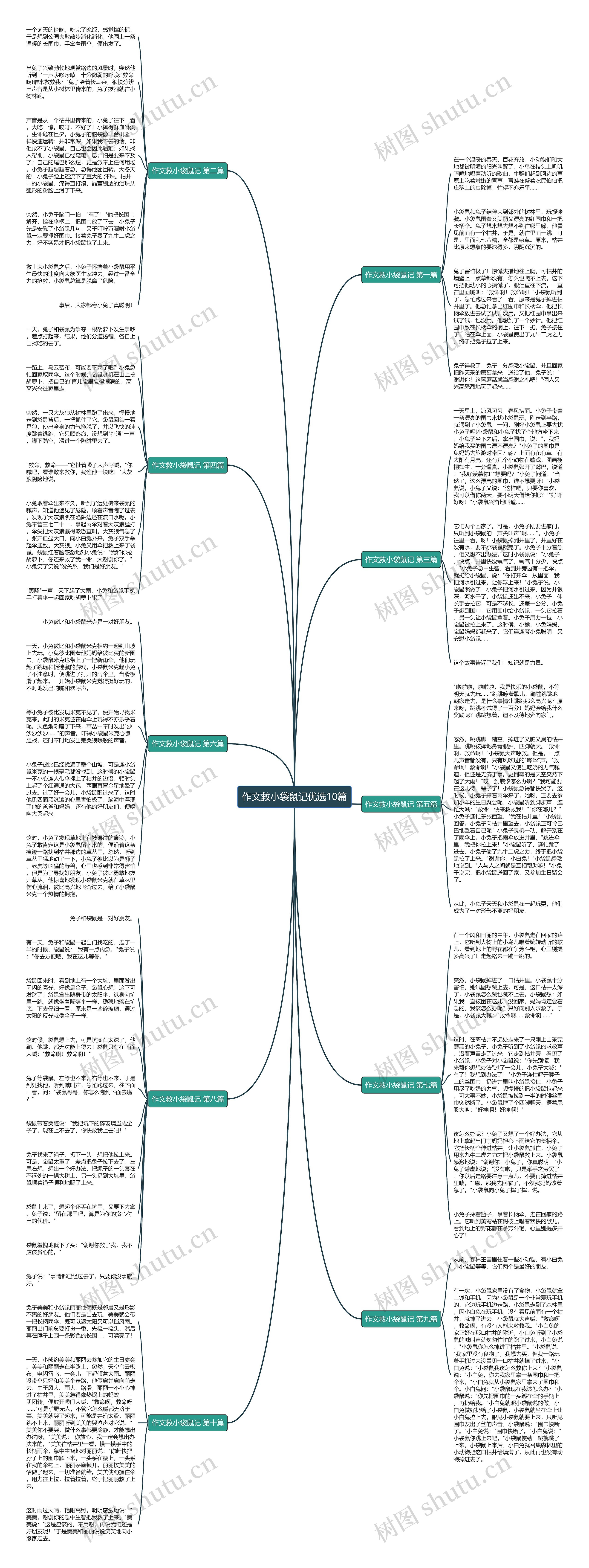 作文救小袋鼠记优选10篇思维导图