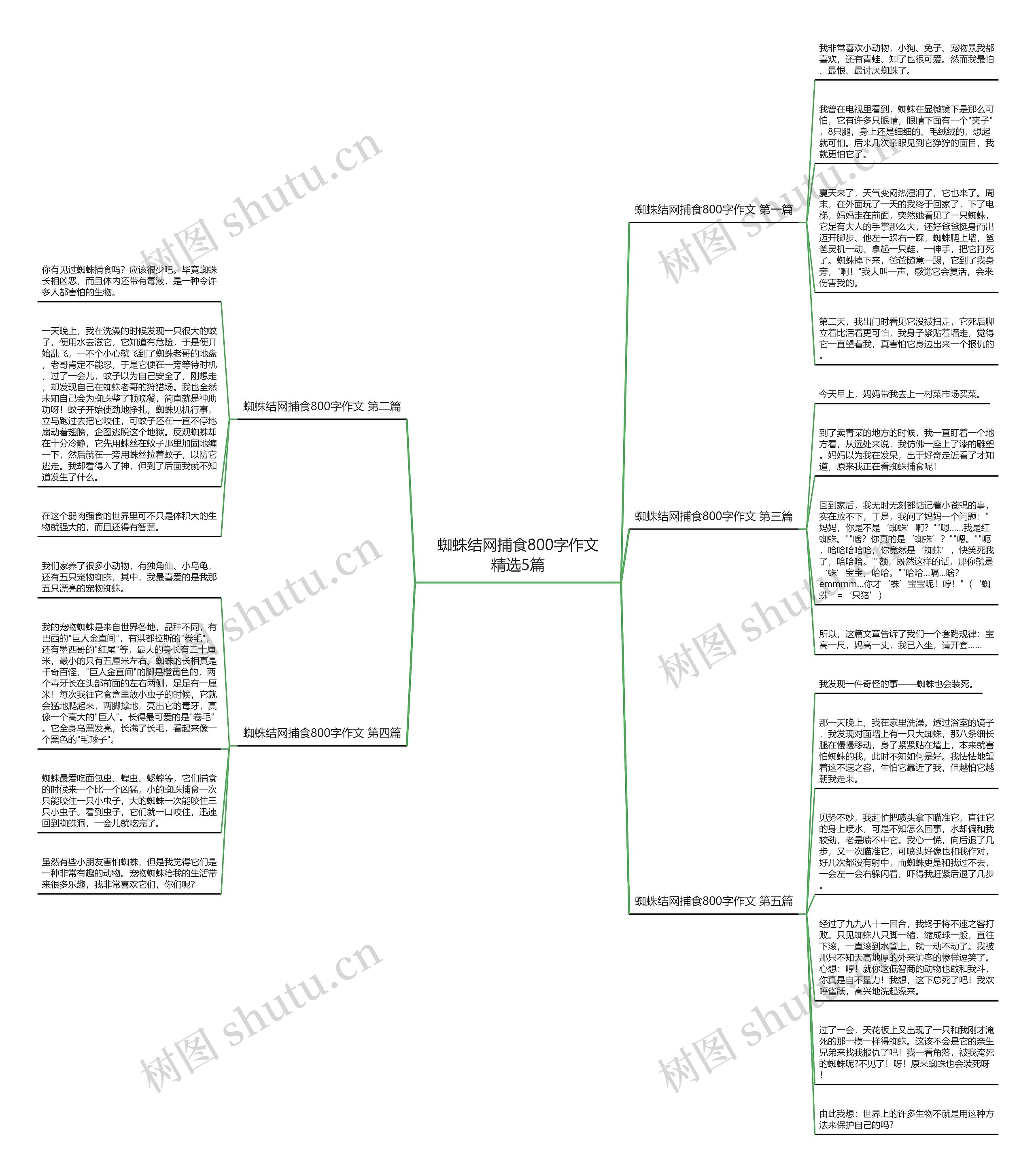 蜘蛛结网捕食800字作文精选5篇 蜘蛛结网捕食800字作文精选5篇