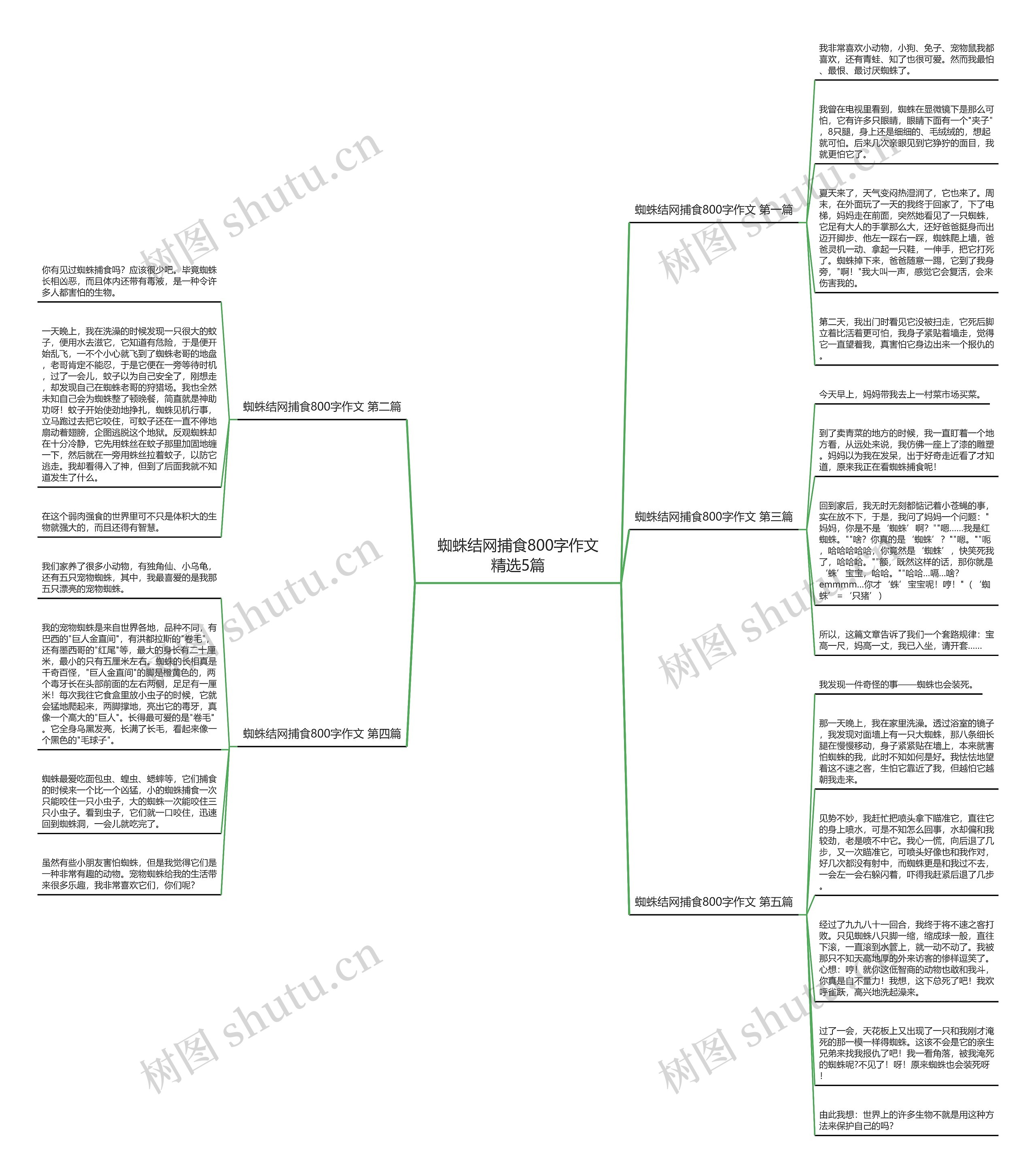 蜘蛛结网捕食800字作文精选5篇思维导图
