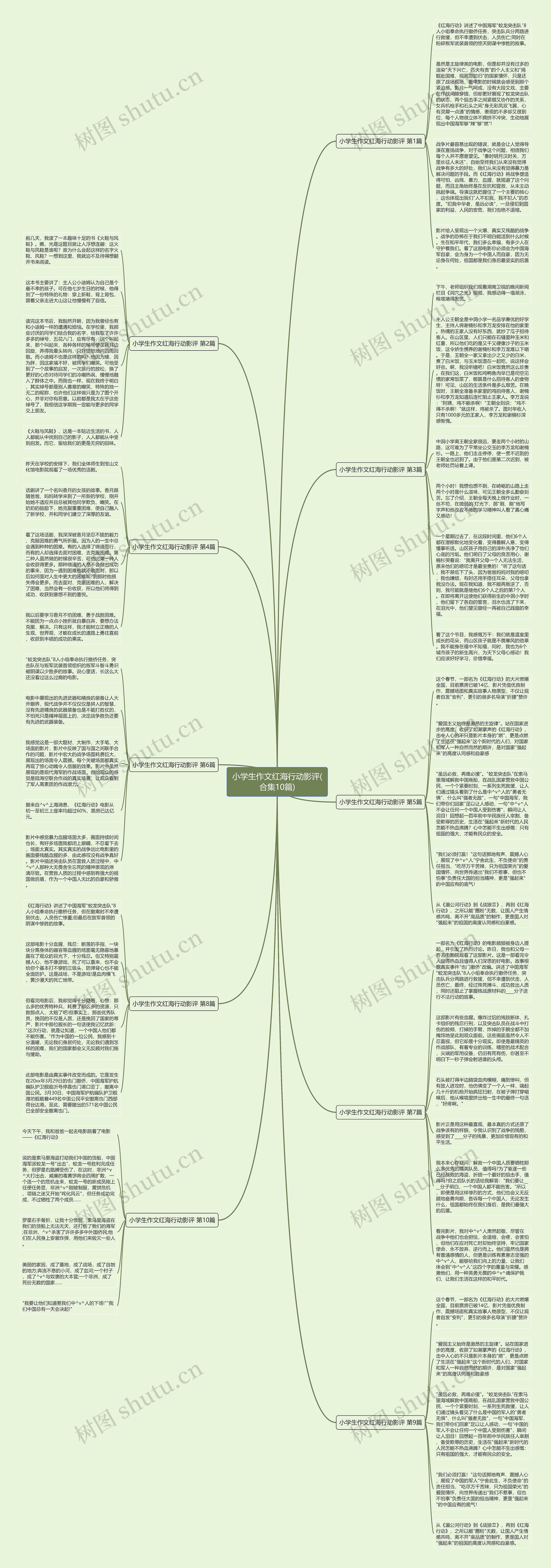 小学生作文红海行动影评(合集10篇)思维导图