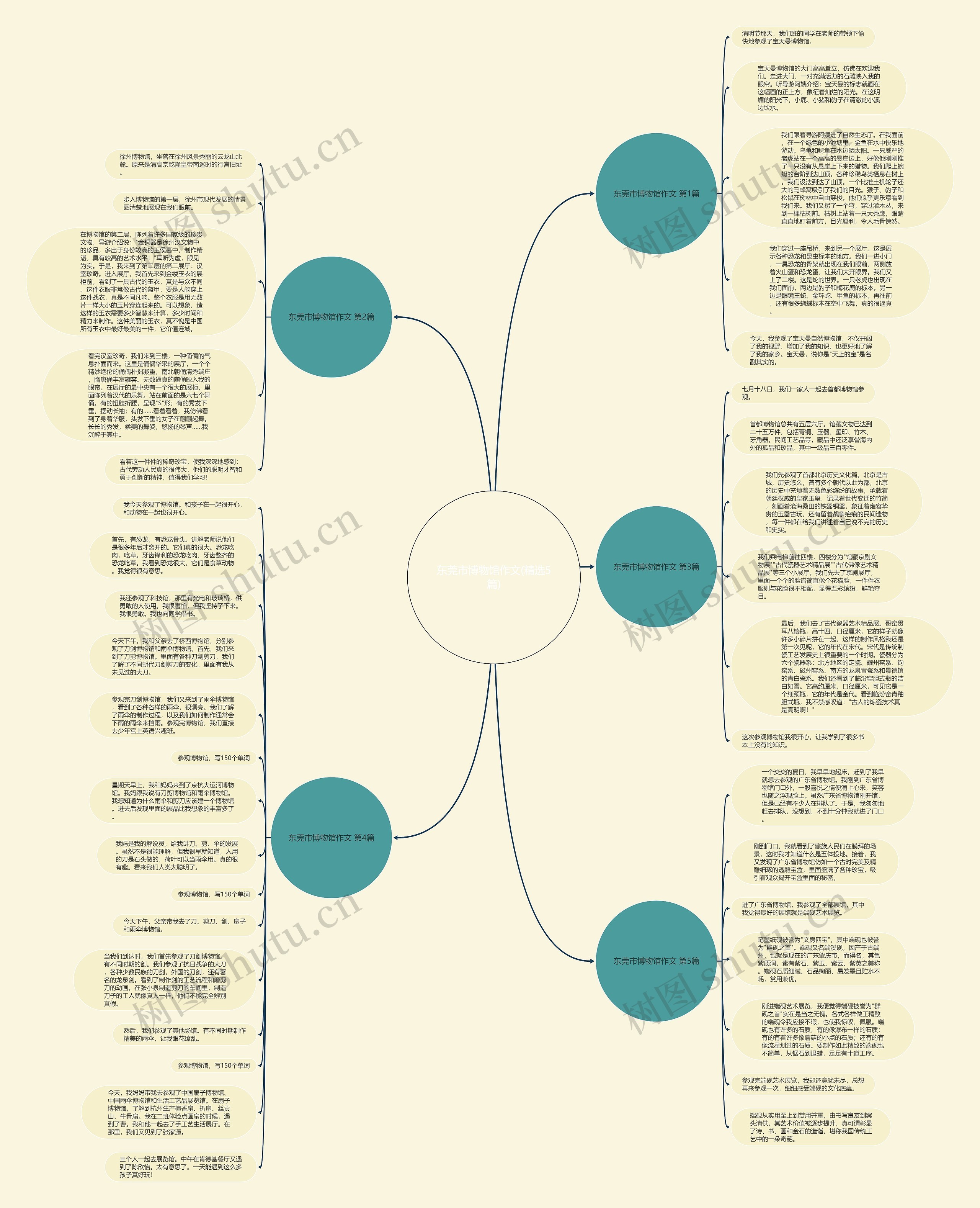 东莞市博物馆作文(精选5篇)思维导图