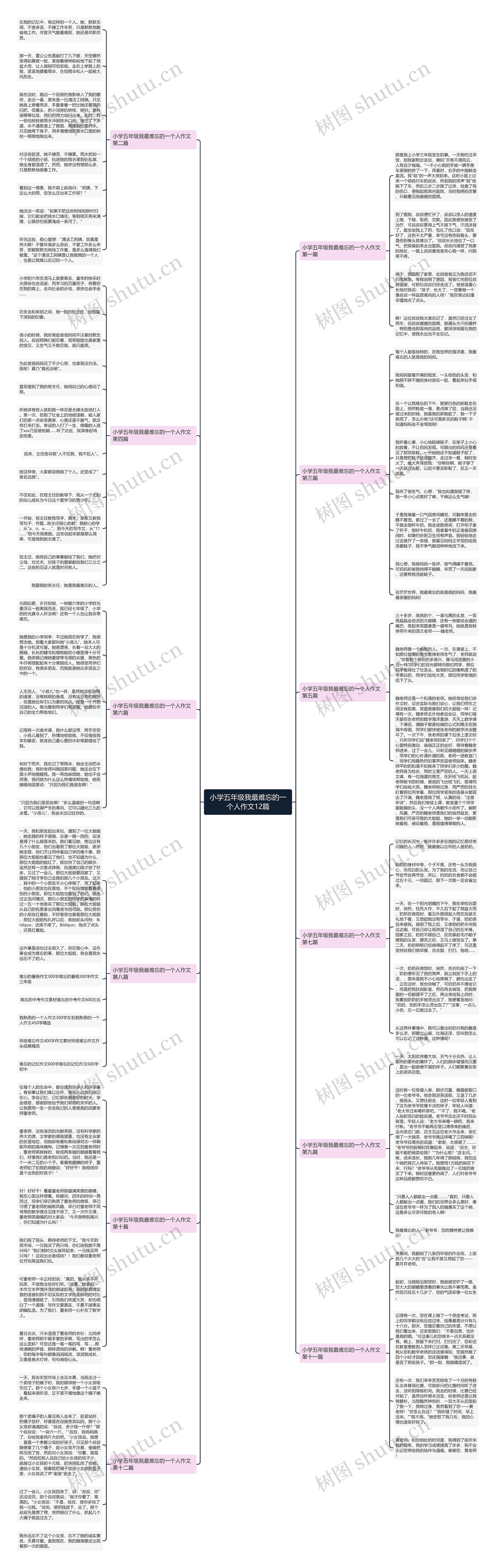 小学五年级我最难忘的一个人作文12篇 小学五年级我最难忘的一个人作文12篇