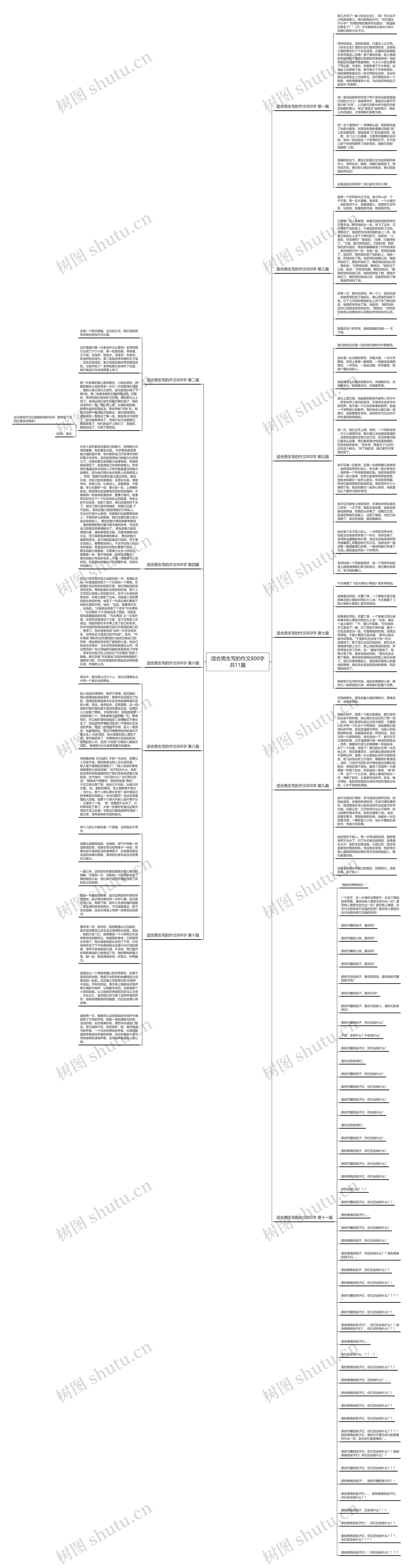适合男生写的作文800字共11篇思维导图高清图 适合男生写的作文800字共11篇思维导图