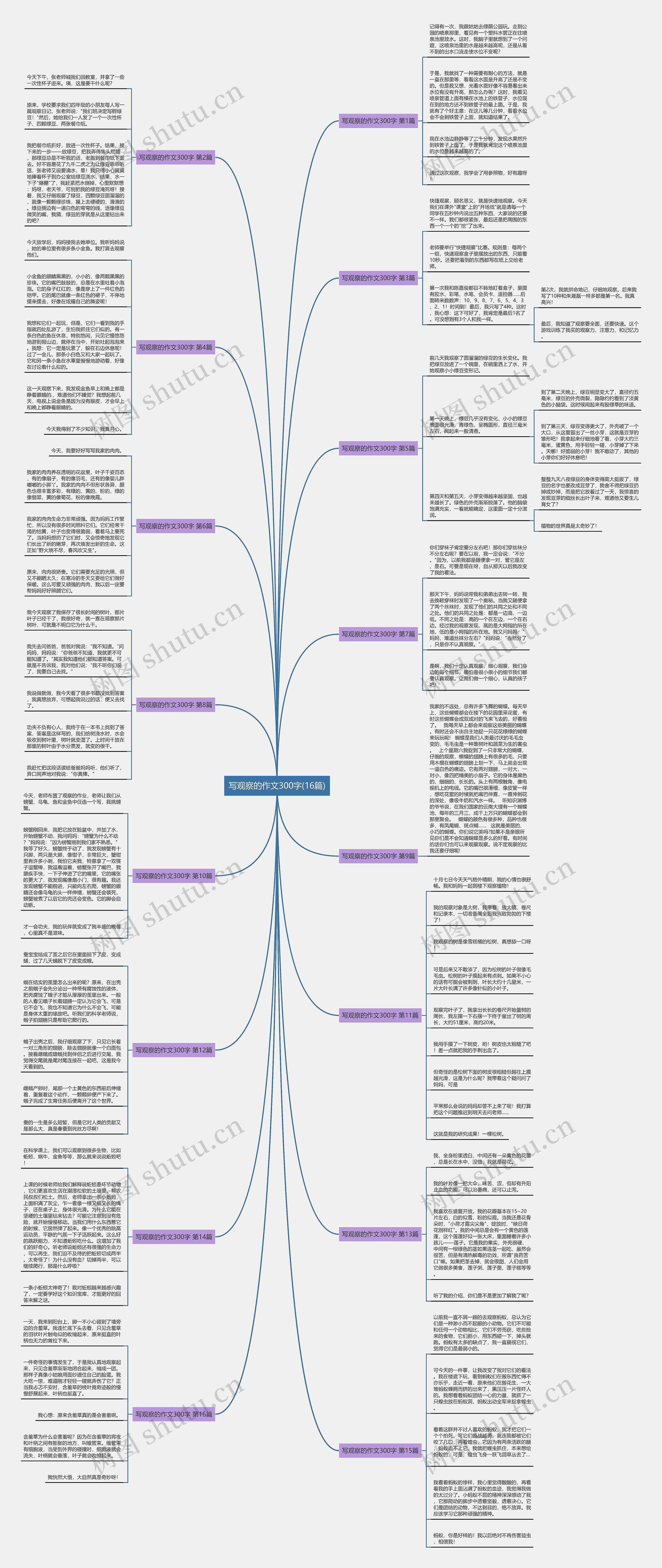 写观察的作文300字(16篇) 写观察的作文300字(16篇)