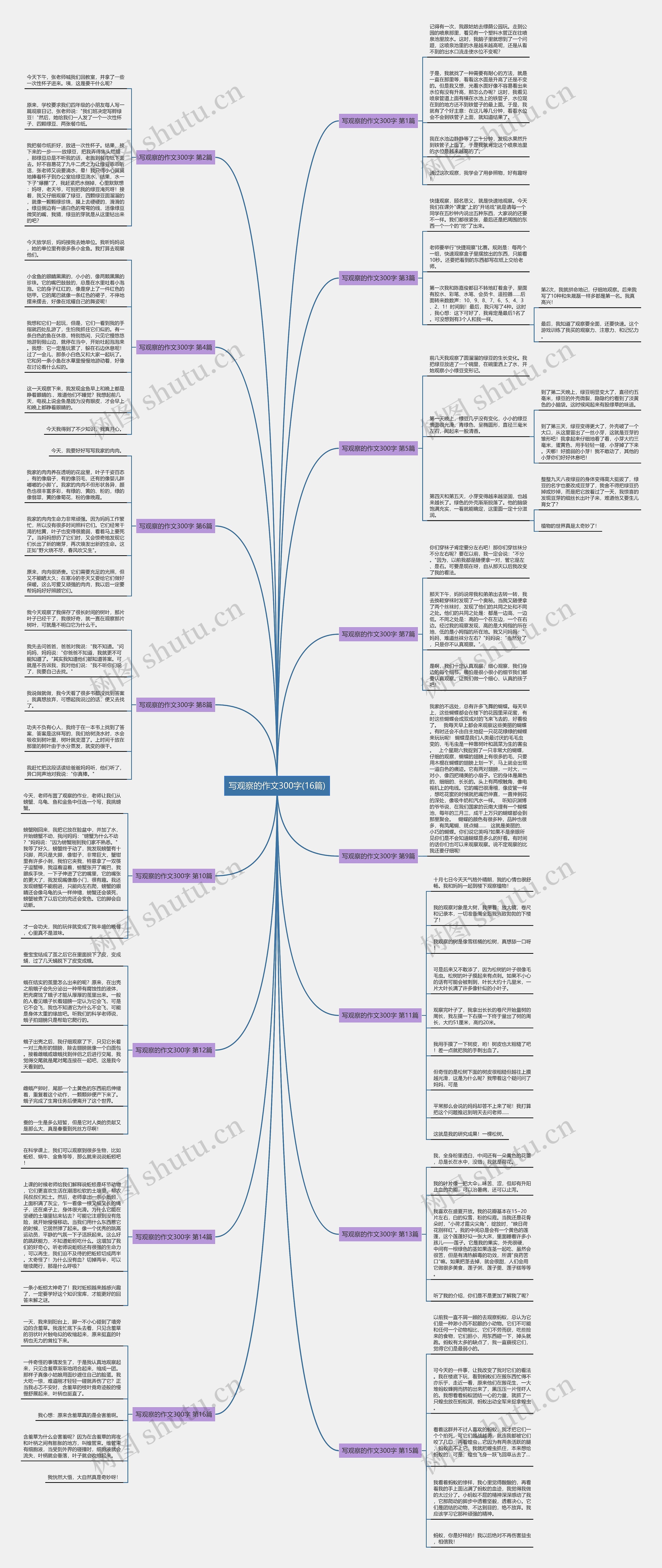 写观察的作文300字(16篇)思维导图