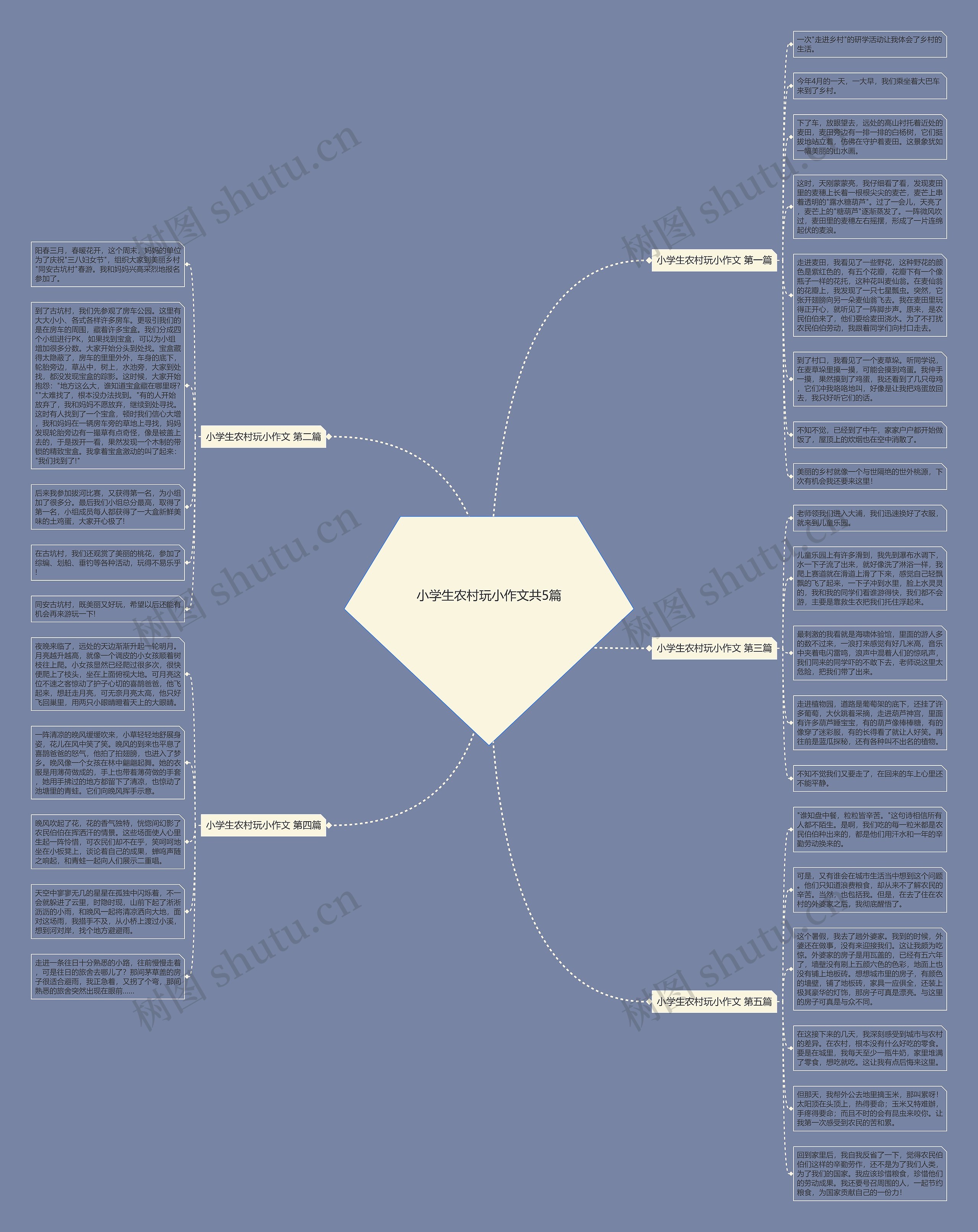小学生农村玩小作文共5篇思维导图