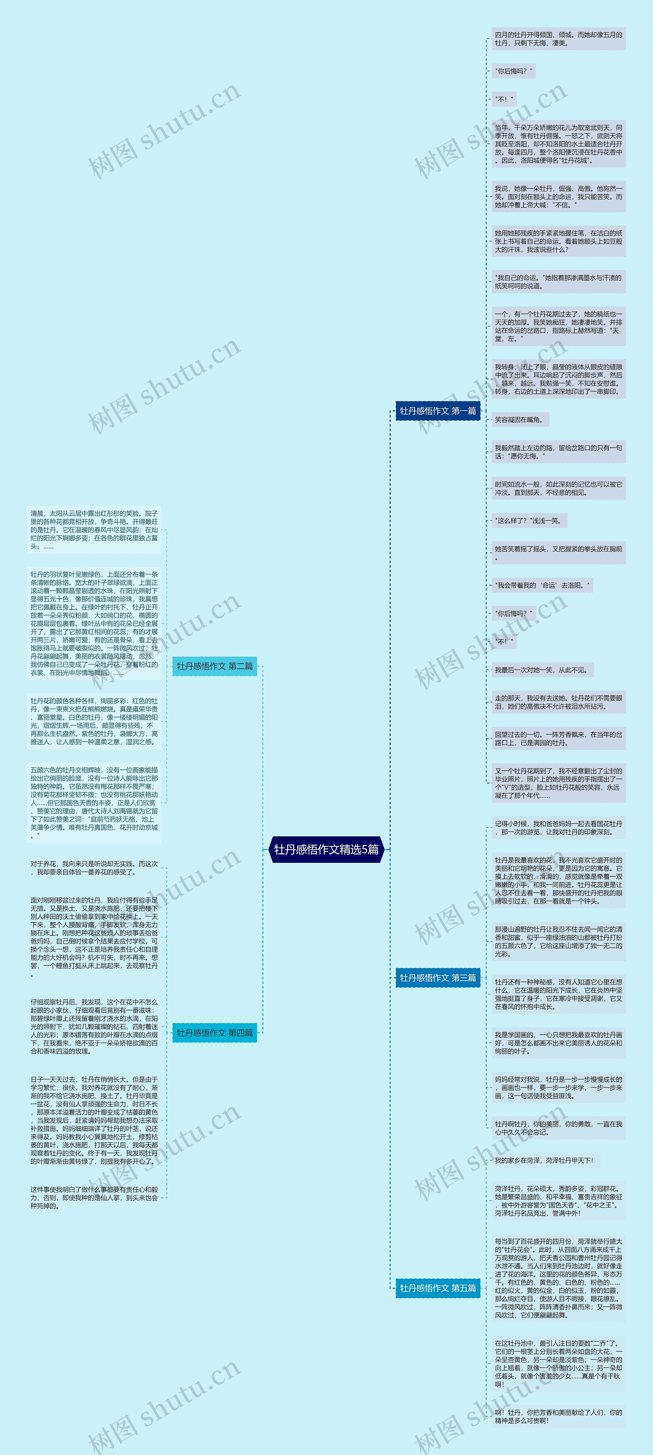 牡丹感悟作文精选5篇思维导图