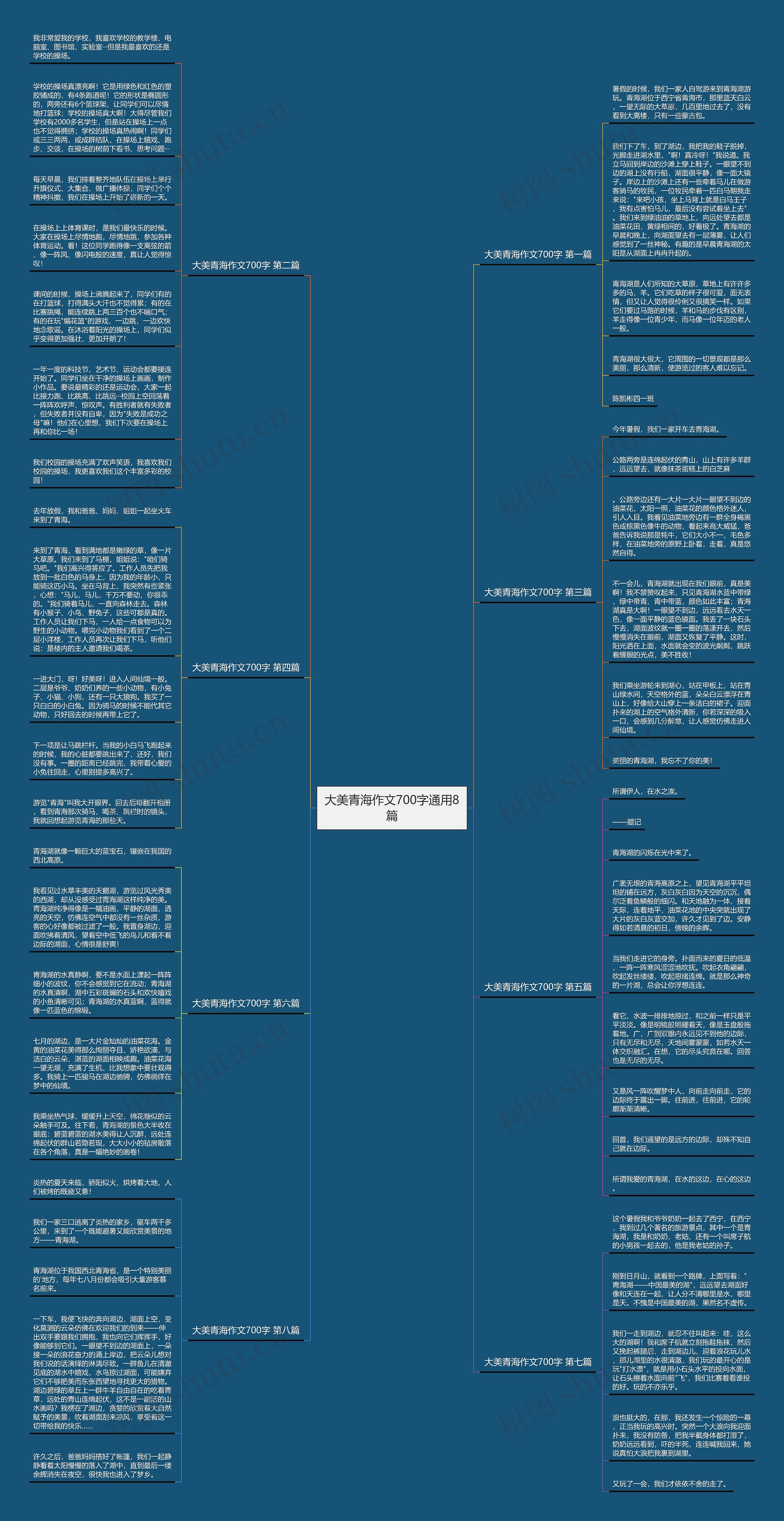 大美青海作文700字通用8篇思维导图