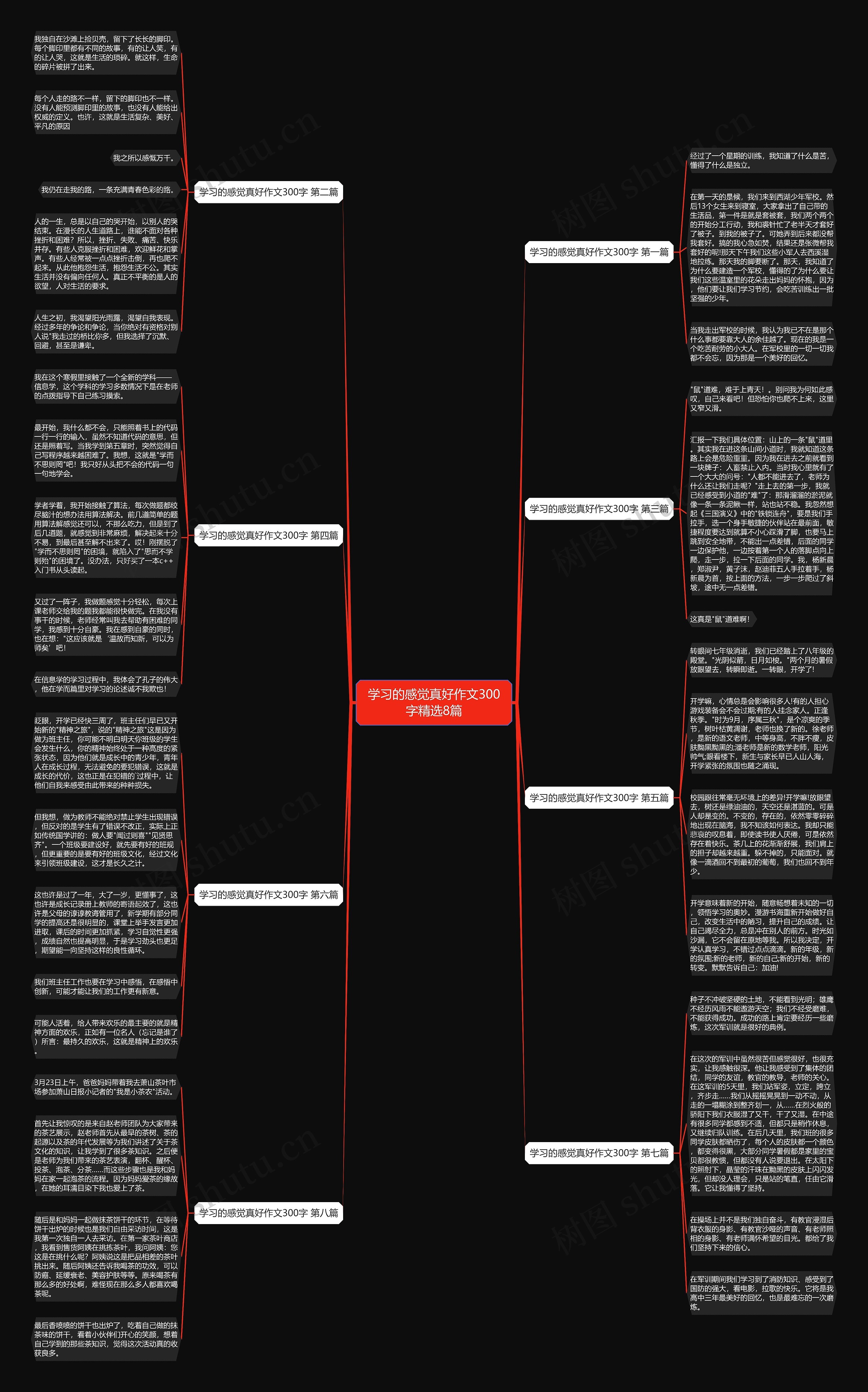 学习的感觉真好作文300字精选8篇