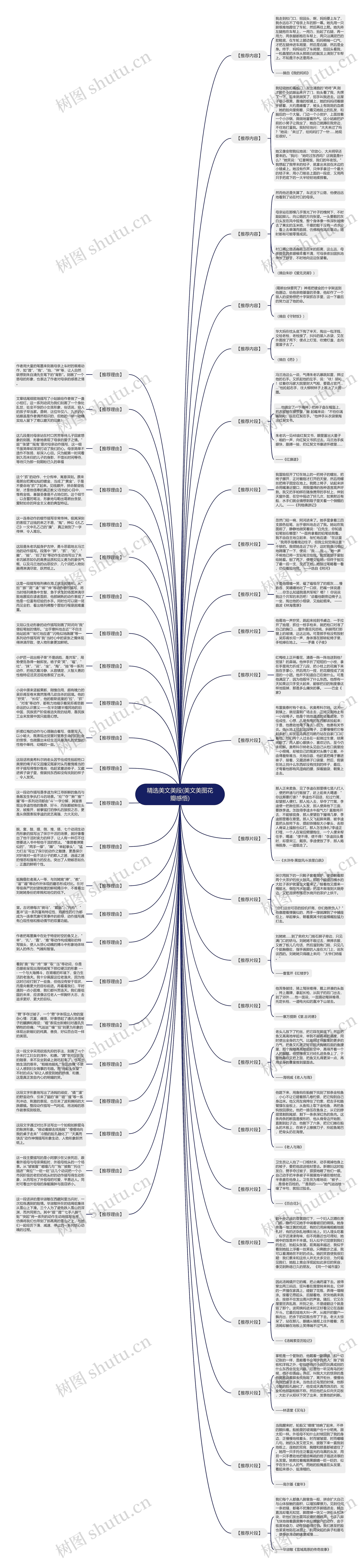 精选美文美段(美文美图花瓣感悟) 精选美文美段(美文美图花瓣感悟)