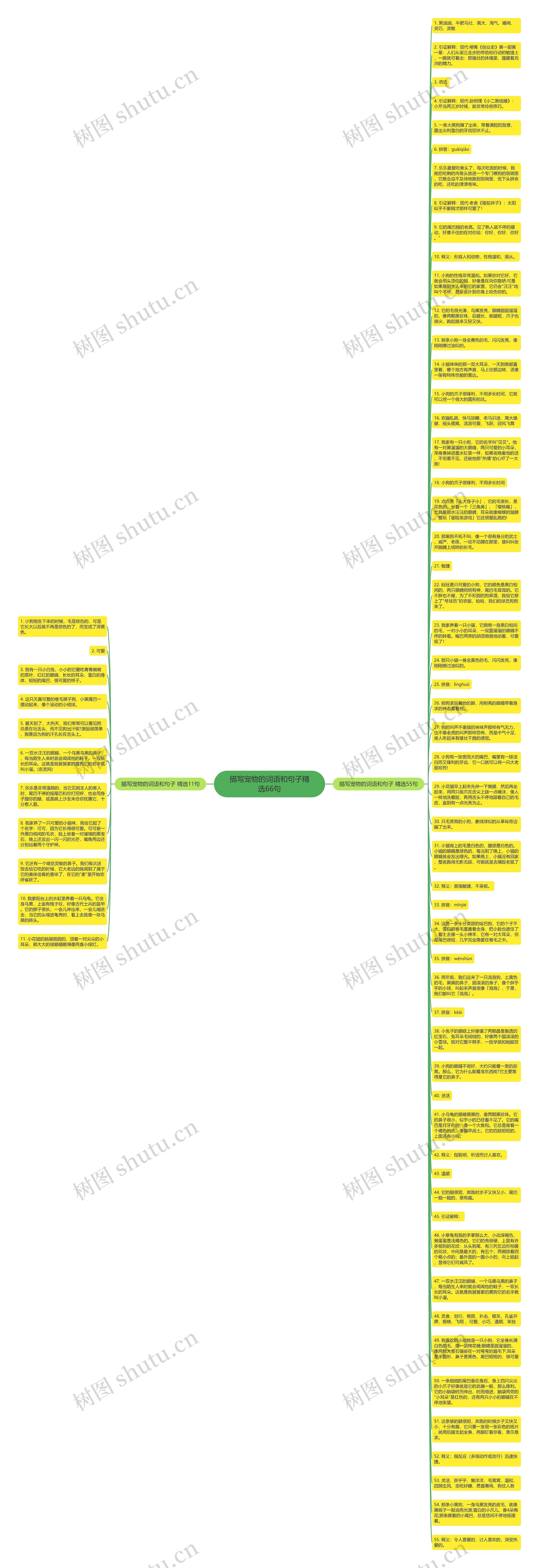 描写宠物的词语和句子精选66句思维导图