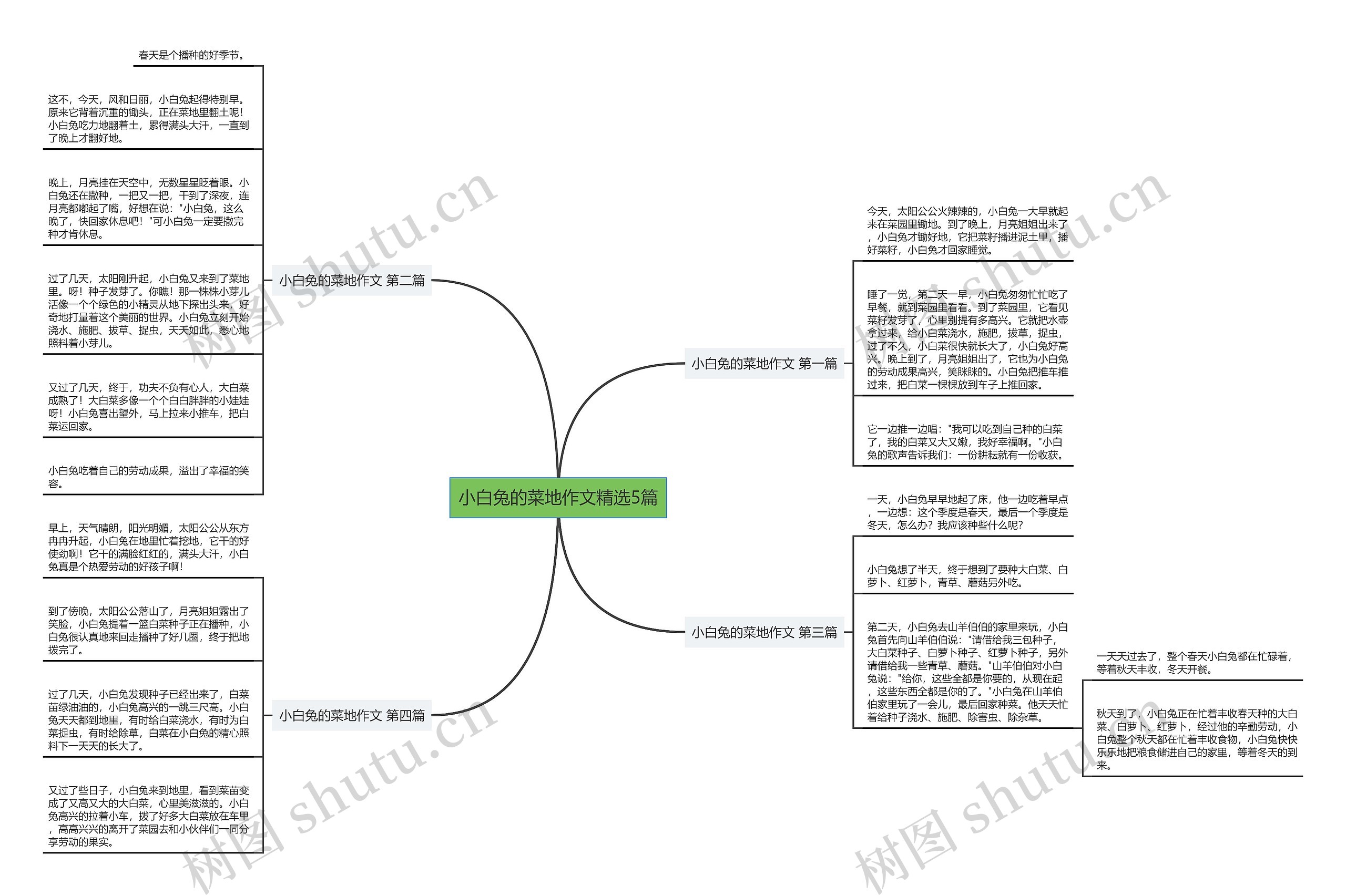 小白兔的菜地作文精选5篇 小白兔的菜地作文精选5篇