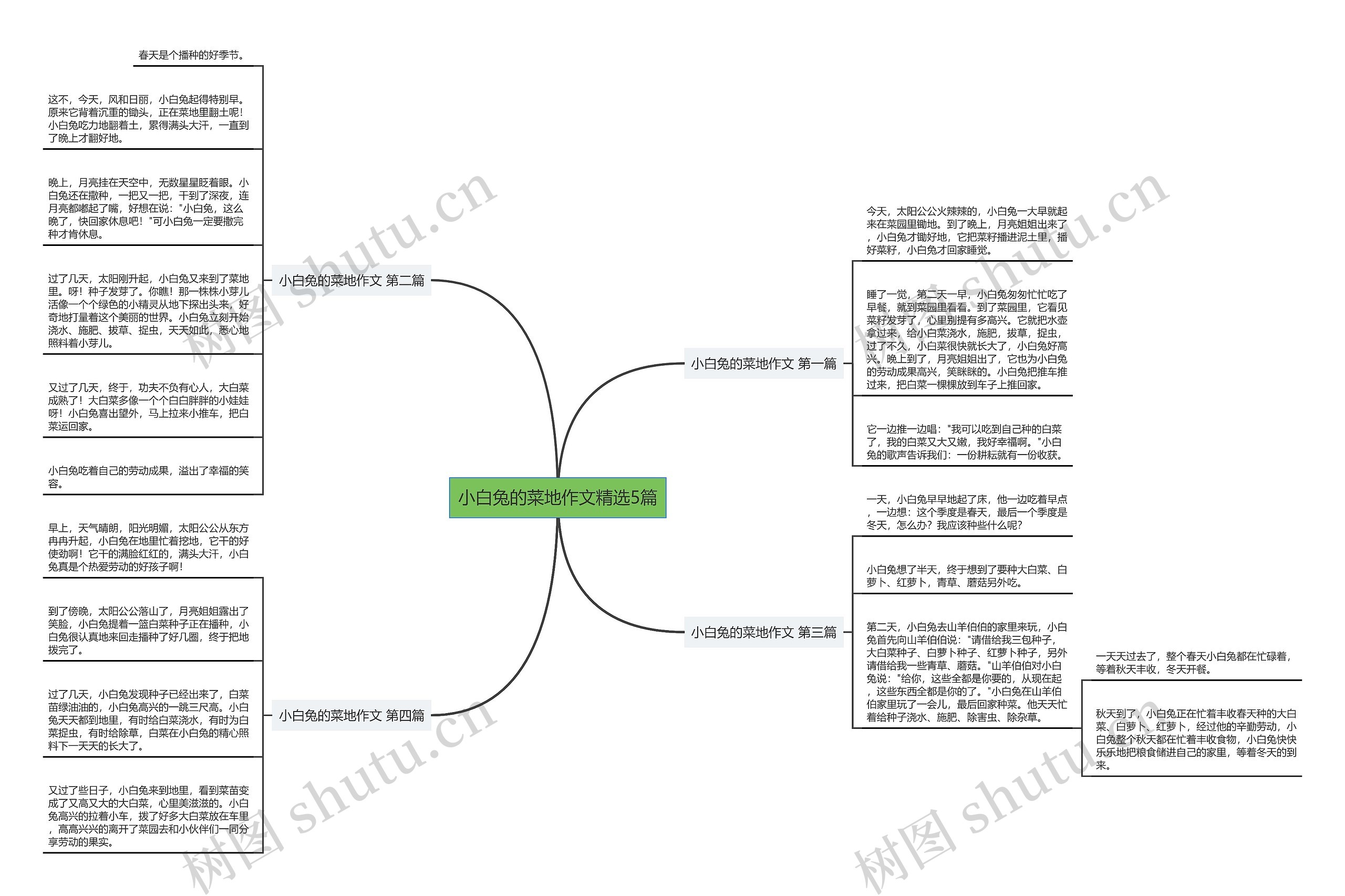 小白兔的菜地作文精选5篇思维导图