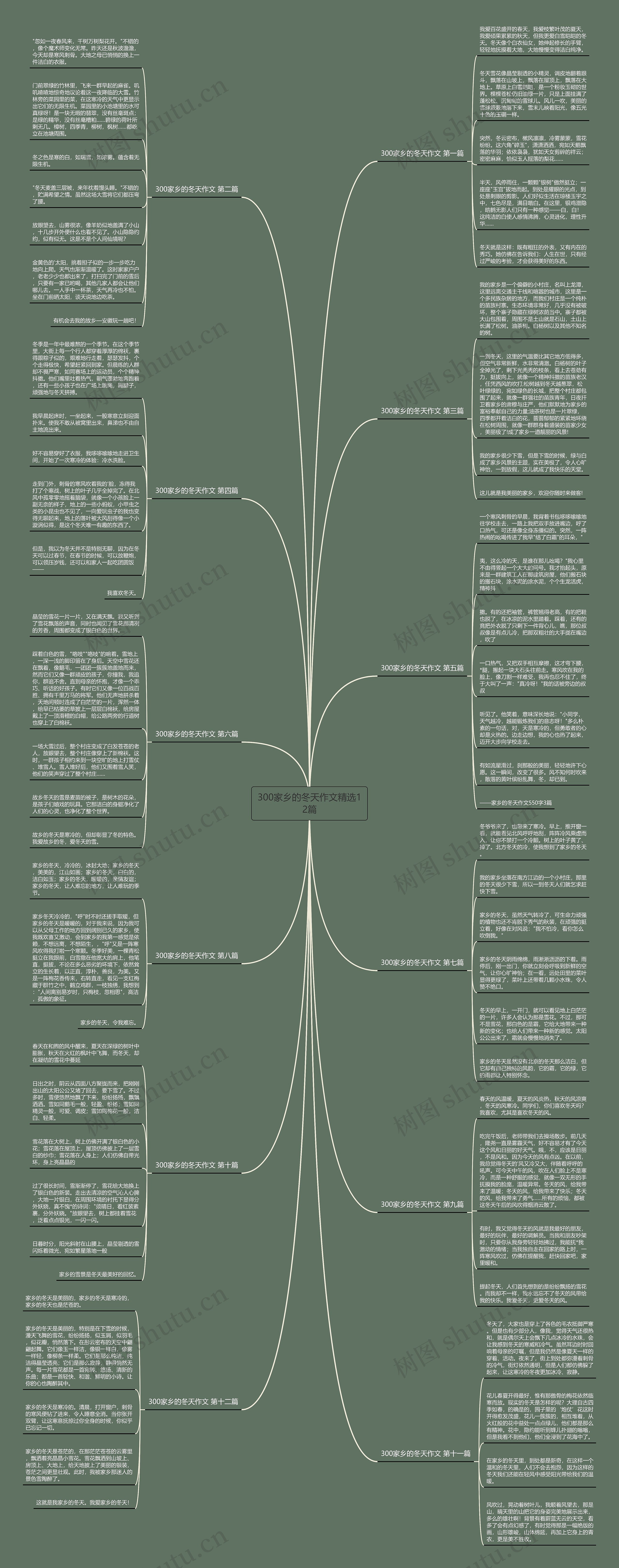 300家乡的冬天作文精选12篇思维导图