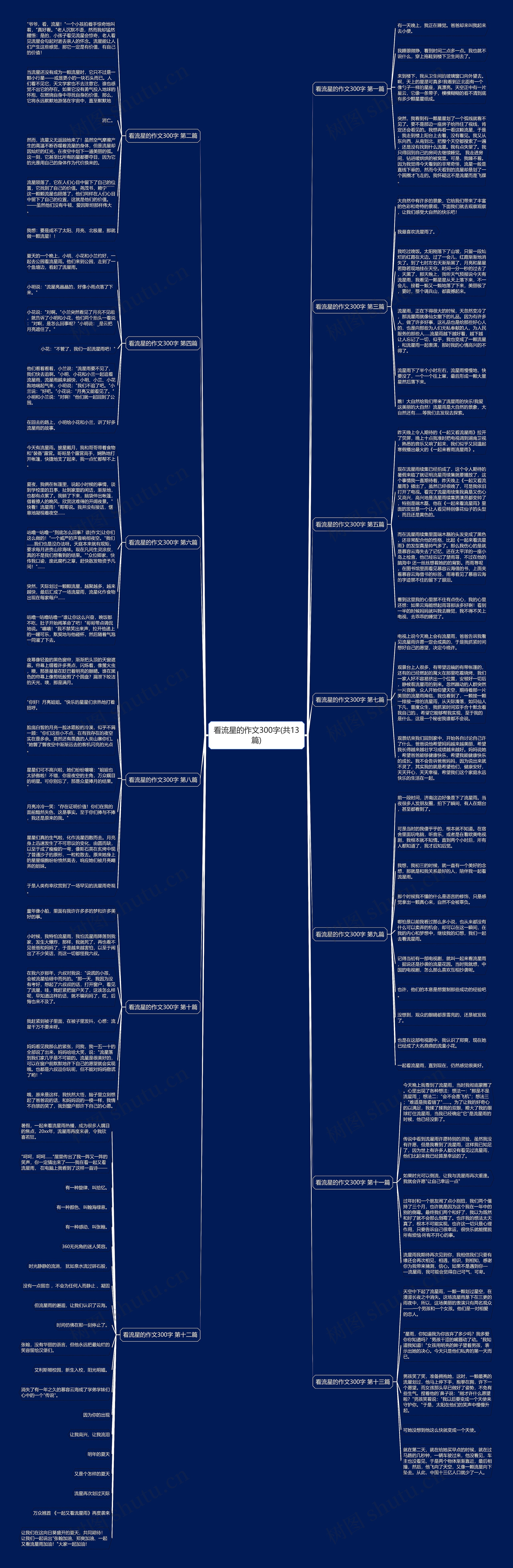 看流星的作文300字(共13篇)