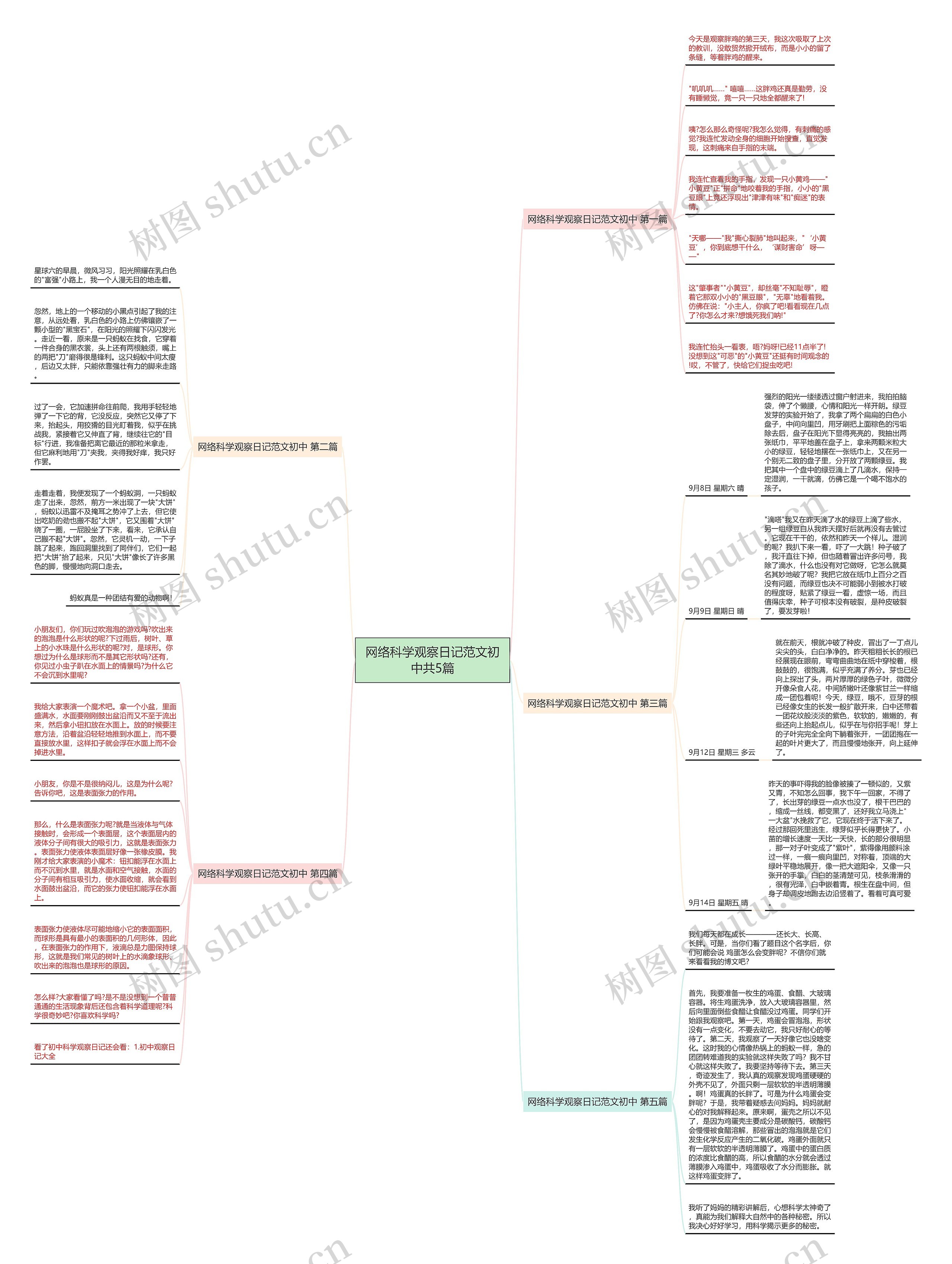 网络科学观察日记范文初中共5篇 网络科学观察日记范文初中共5篇