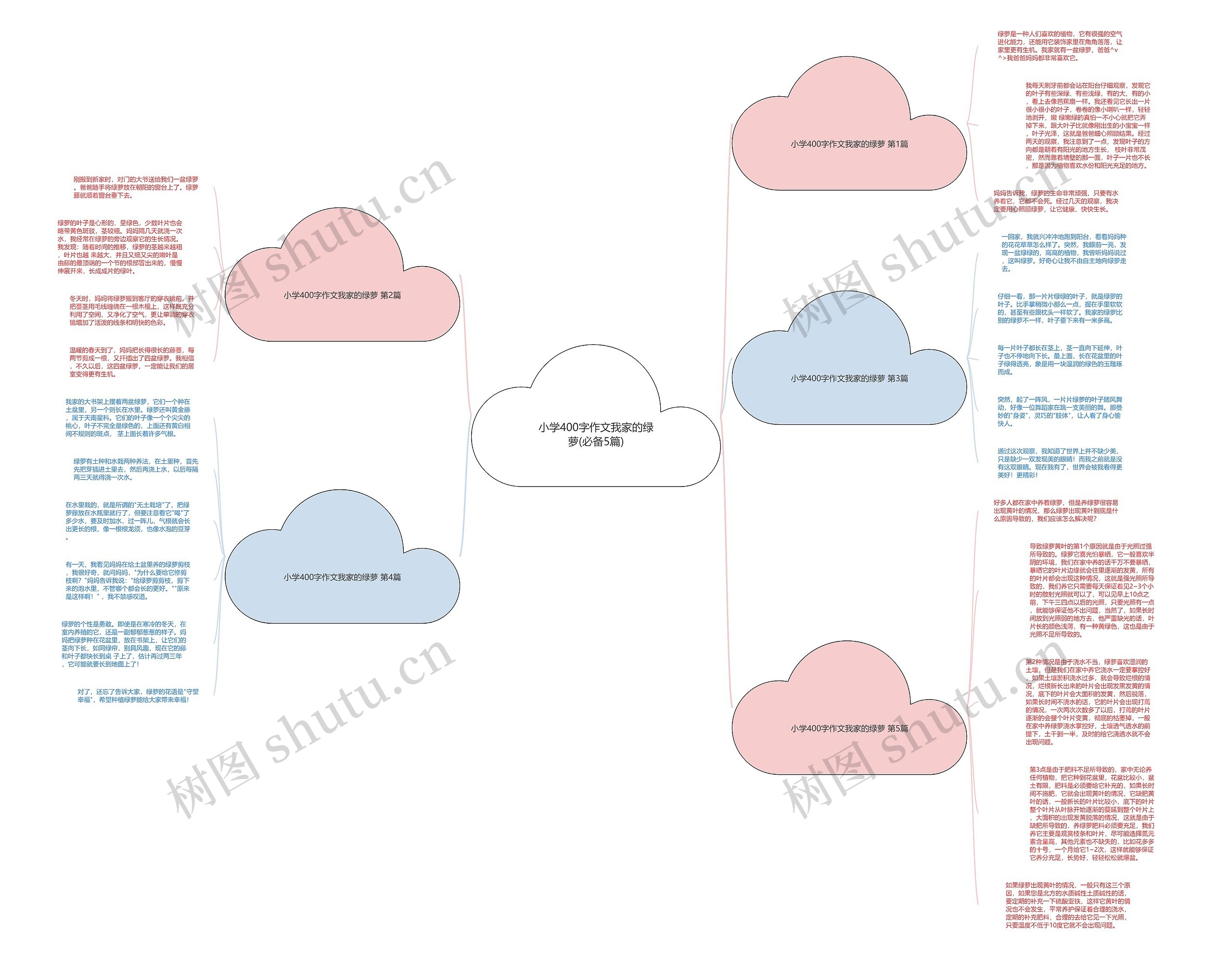 小学400字作文我家的绿萝(必备5篇)思维导图