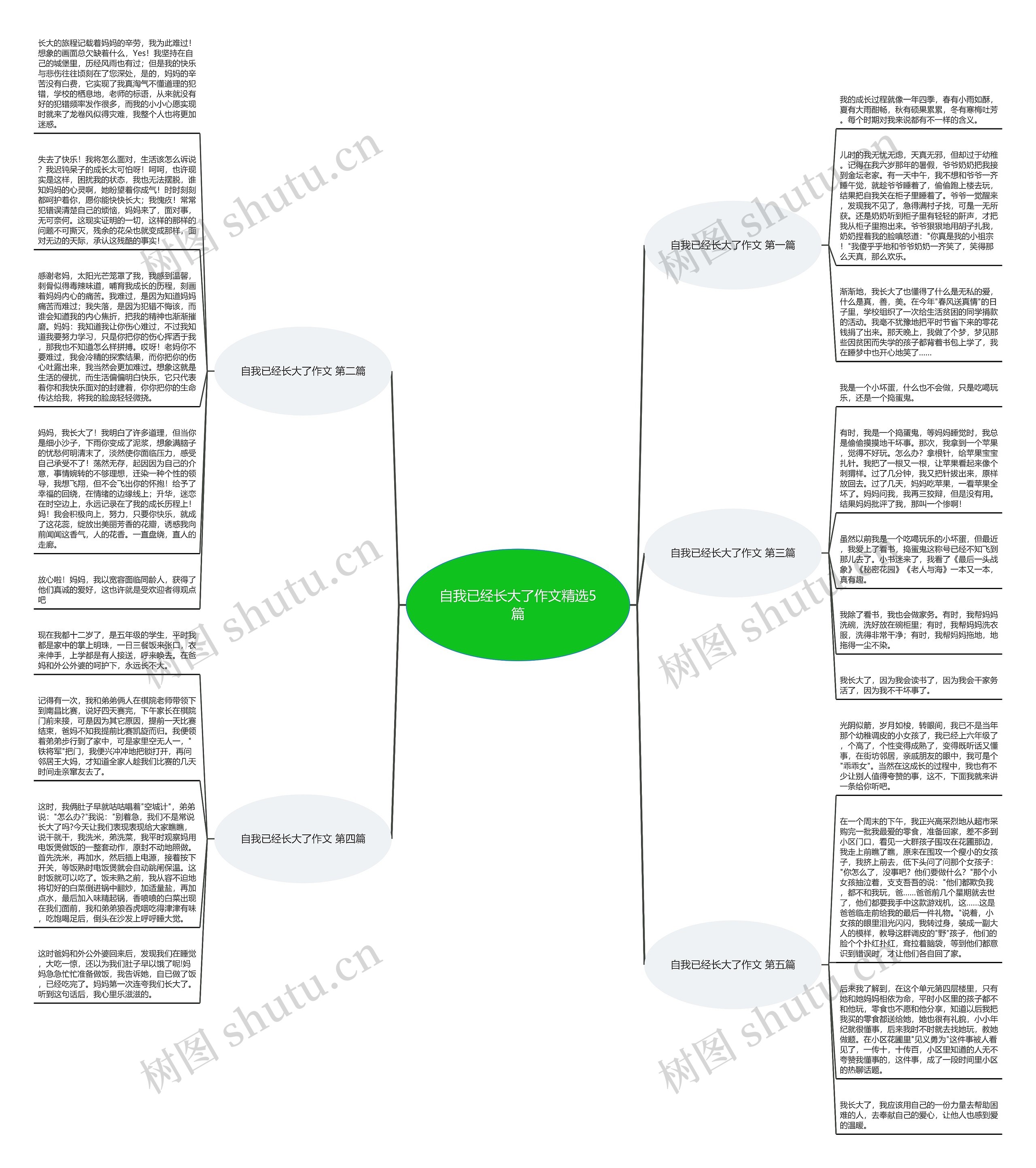 自我已经长大了作文精选5篇思维导图