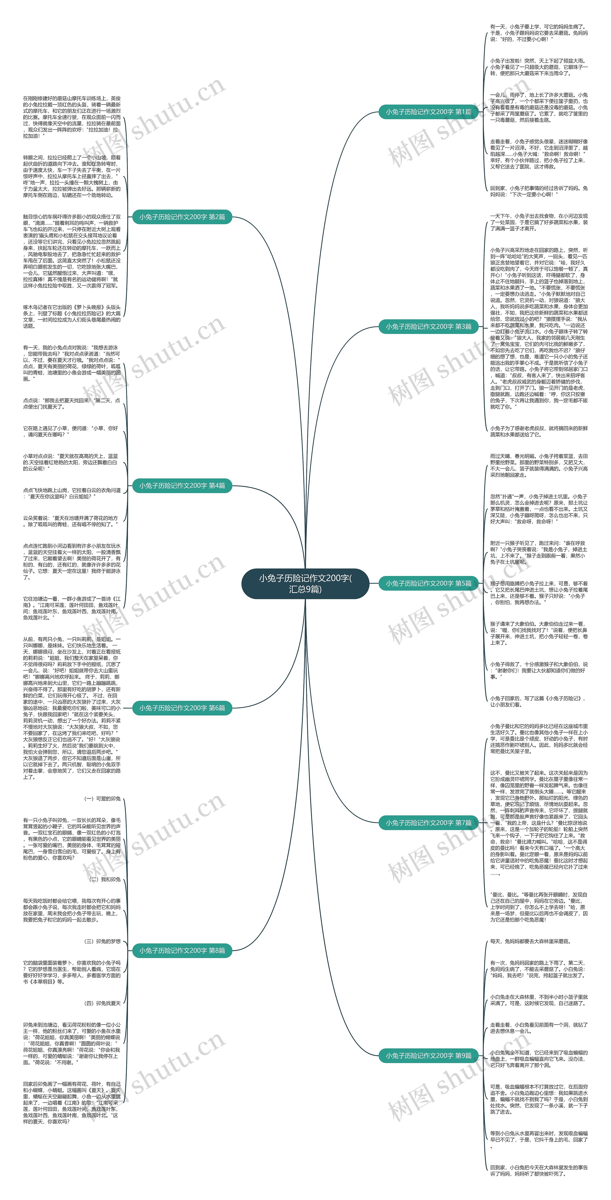 小兔子历险记作文200字(汇总9篇)思维导图