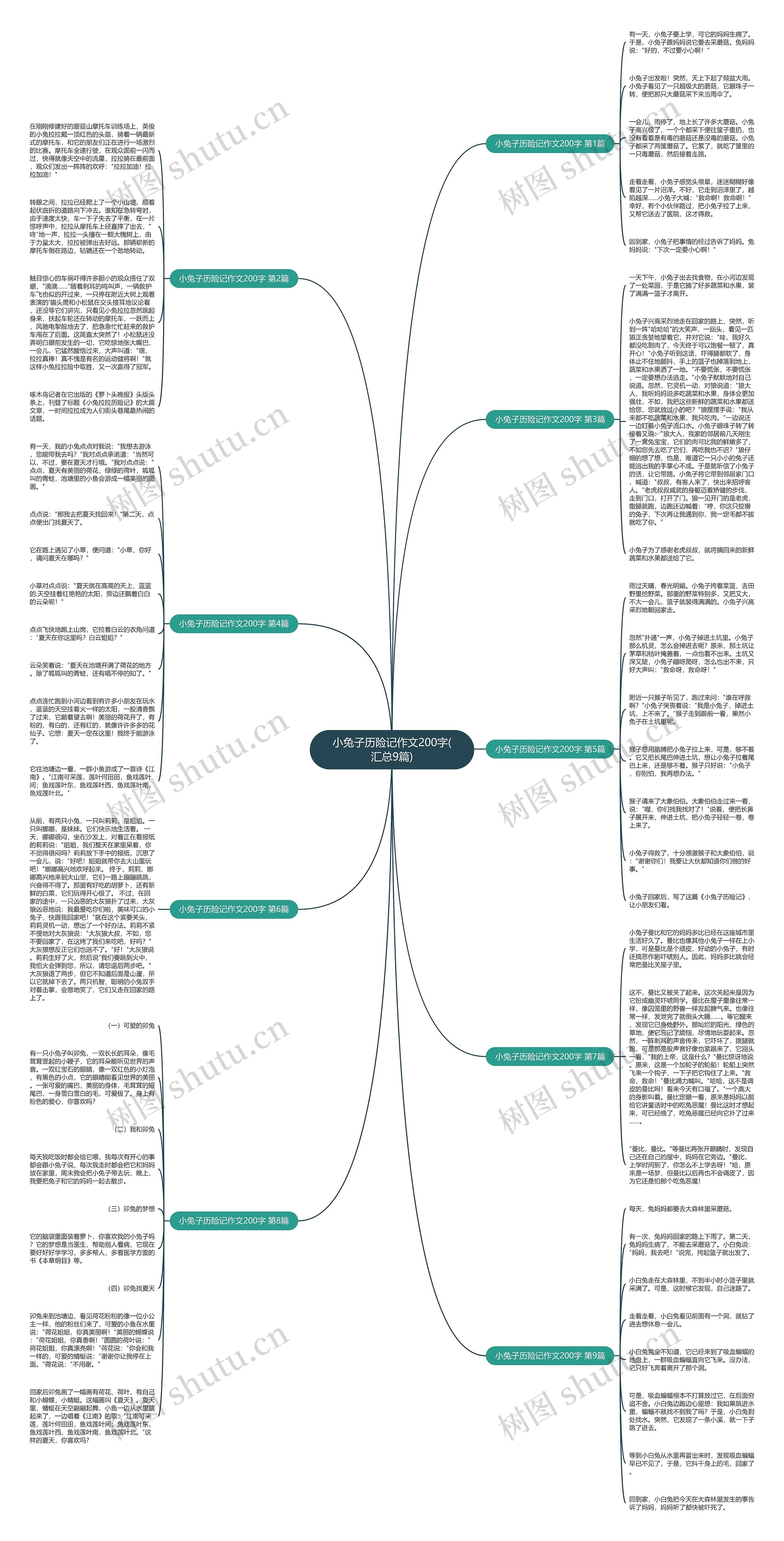 小兔子历险记作文200字(汇总9篇) 小兔子历险记作文200字(汇总9篇)
