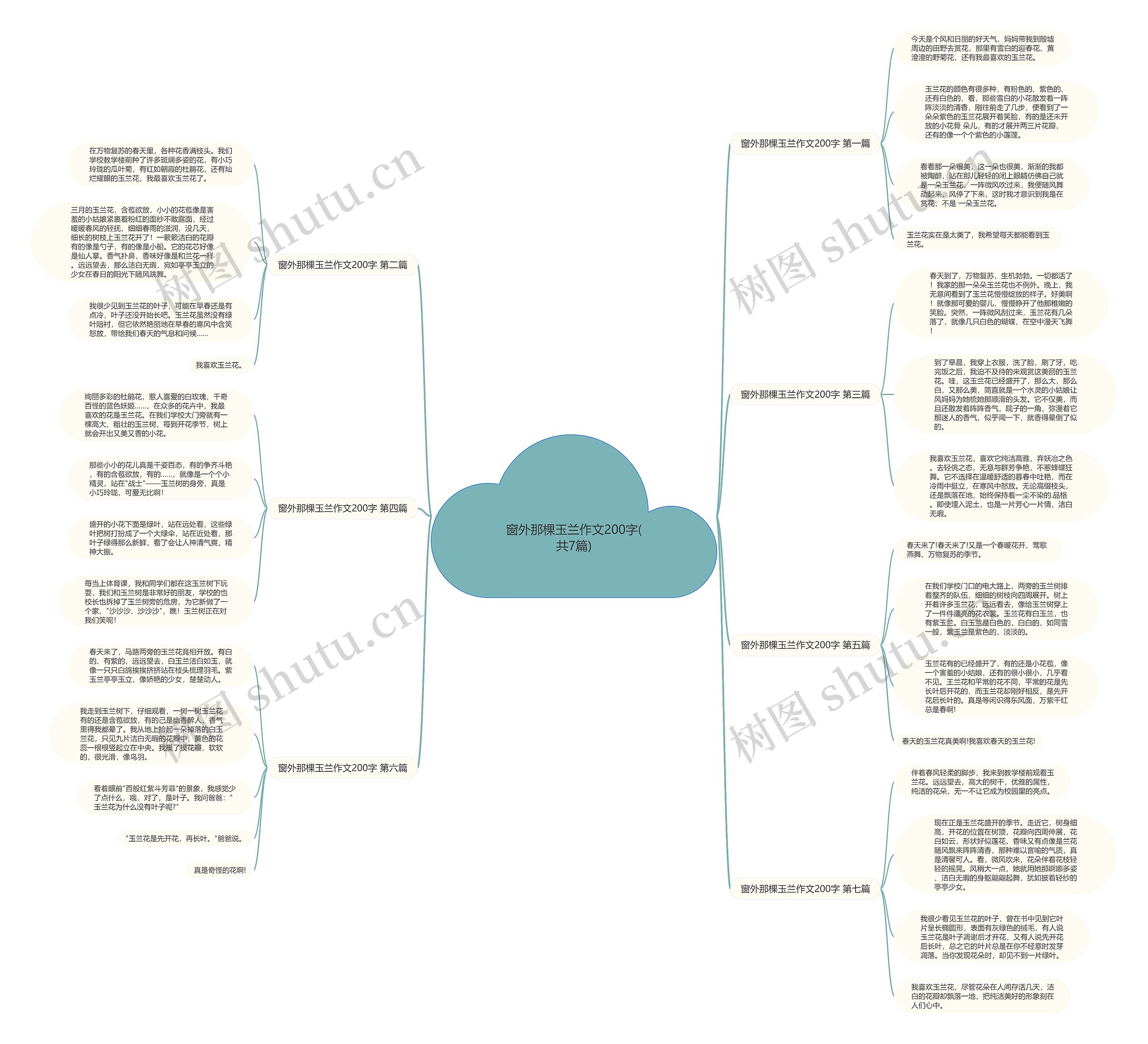 窗外那棵玉兰作文200字(共7篇)思维导图