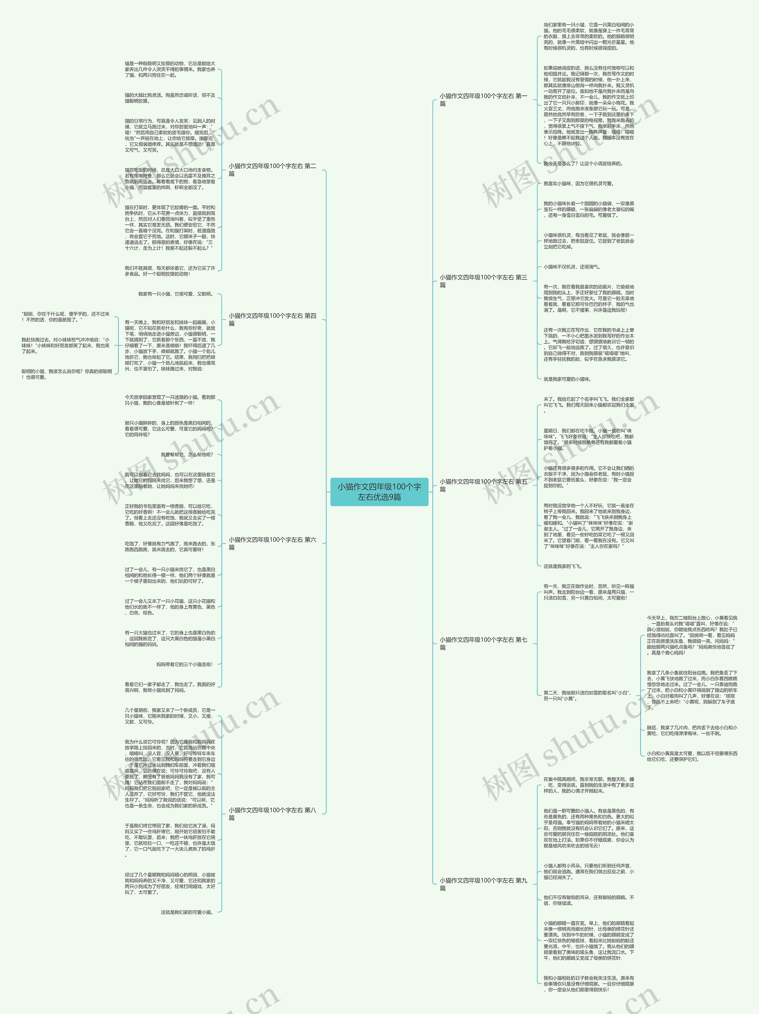 小猫作文四年级100个字左右优选9篇思维导图
