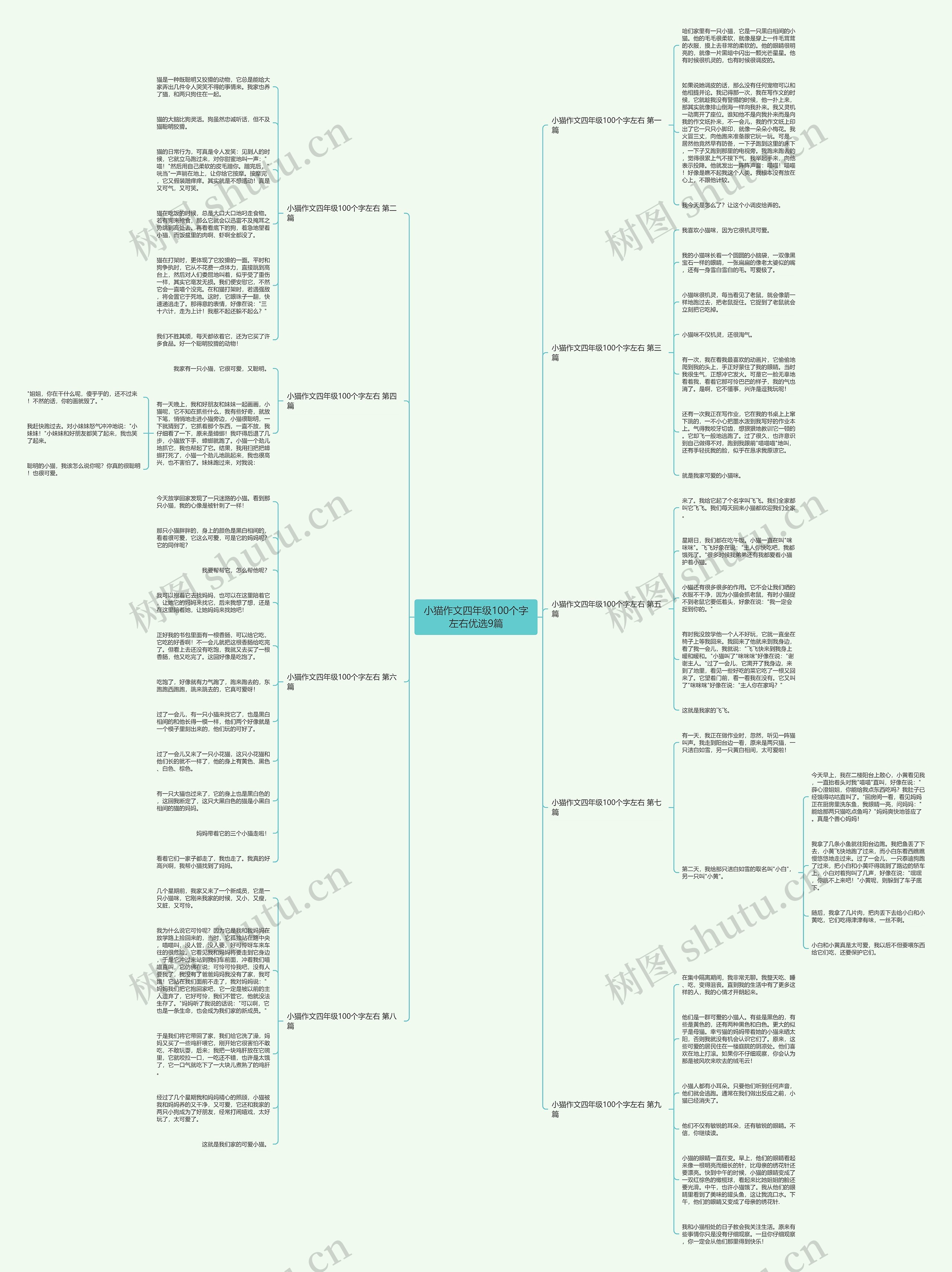 小猫作文四年级100个字左右优选9篇 小猫作文四年级100个字左右优选9篇