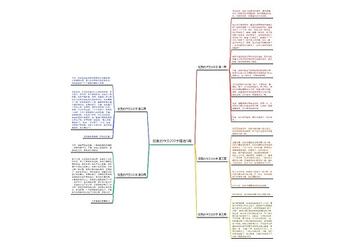 捉鱼的作文200字精选5篇