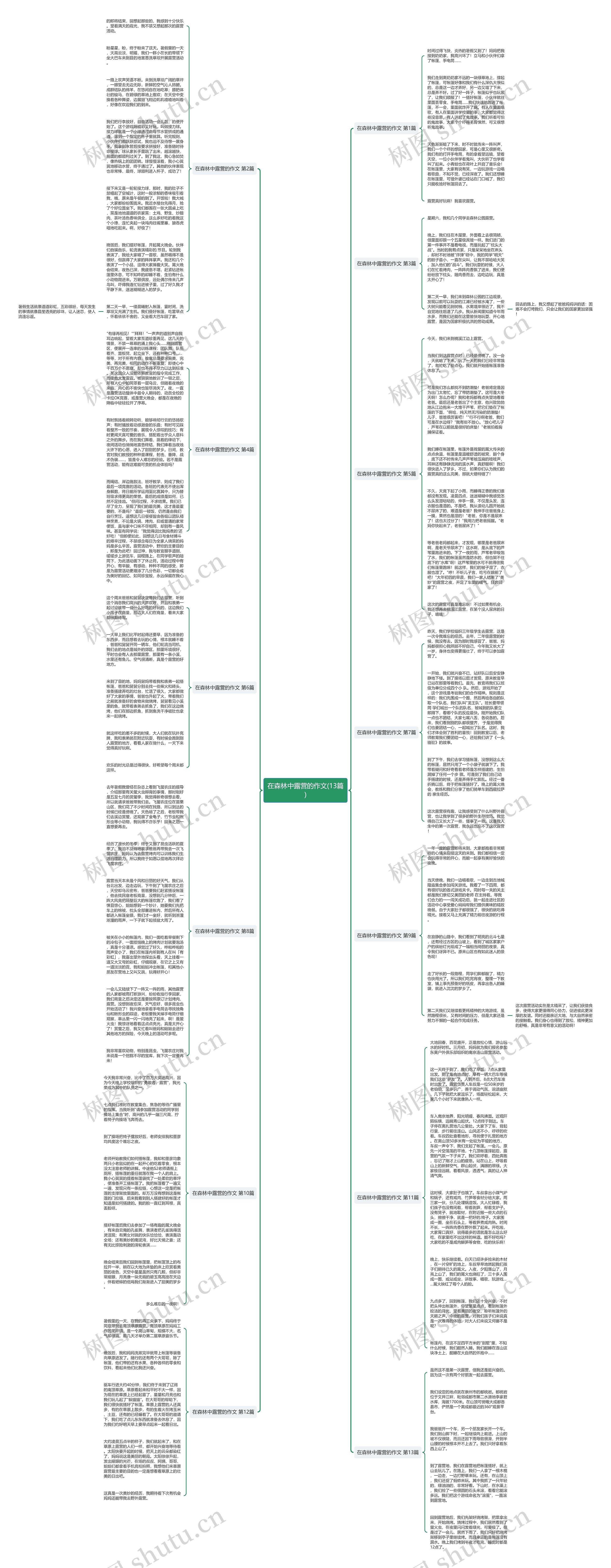 在森林中露营的作文(13篇)思维导图