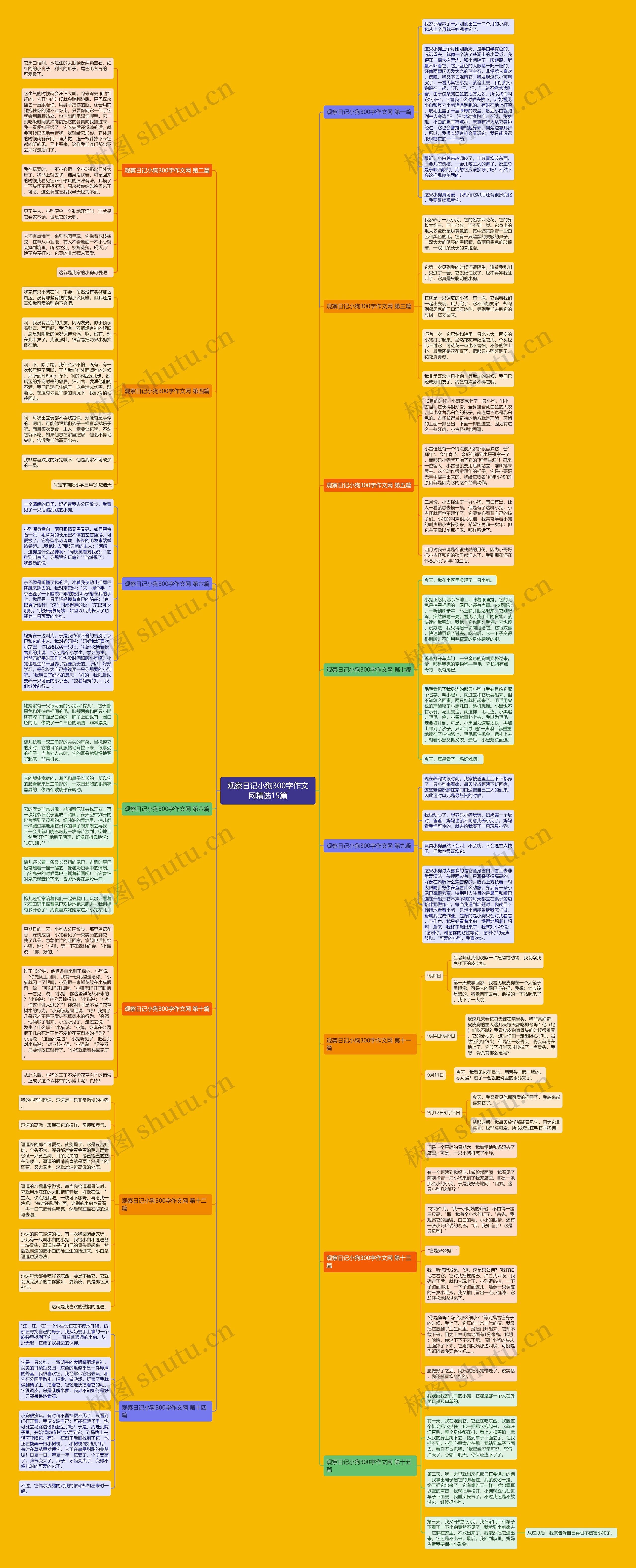 观察日记小狗300字作文网精选15篇思维导图