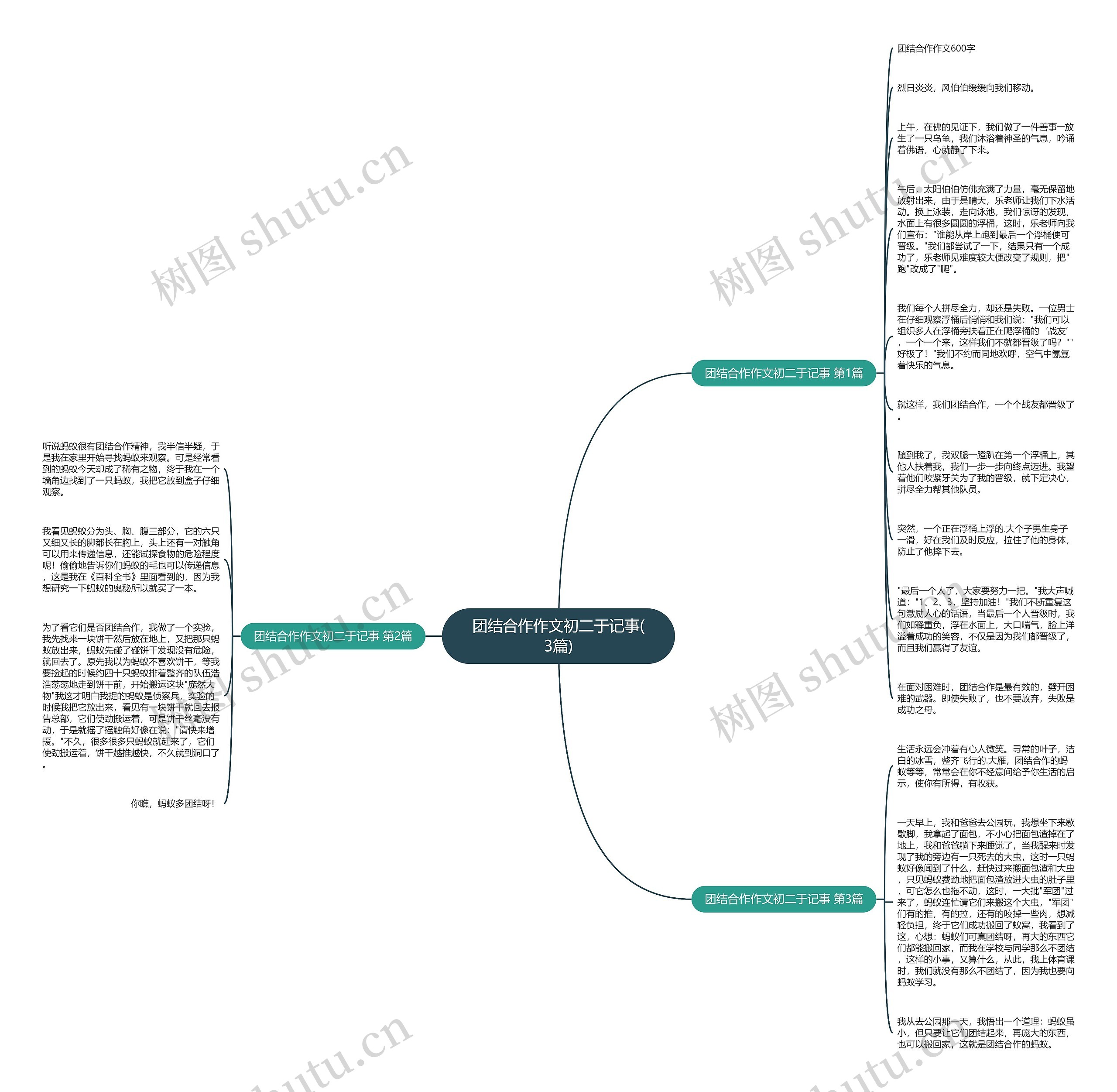 团结合作作文初二于记事(3篇)思维导图