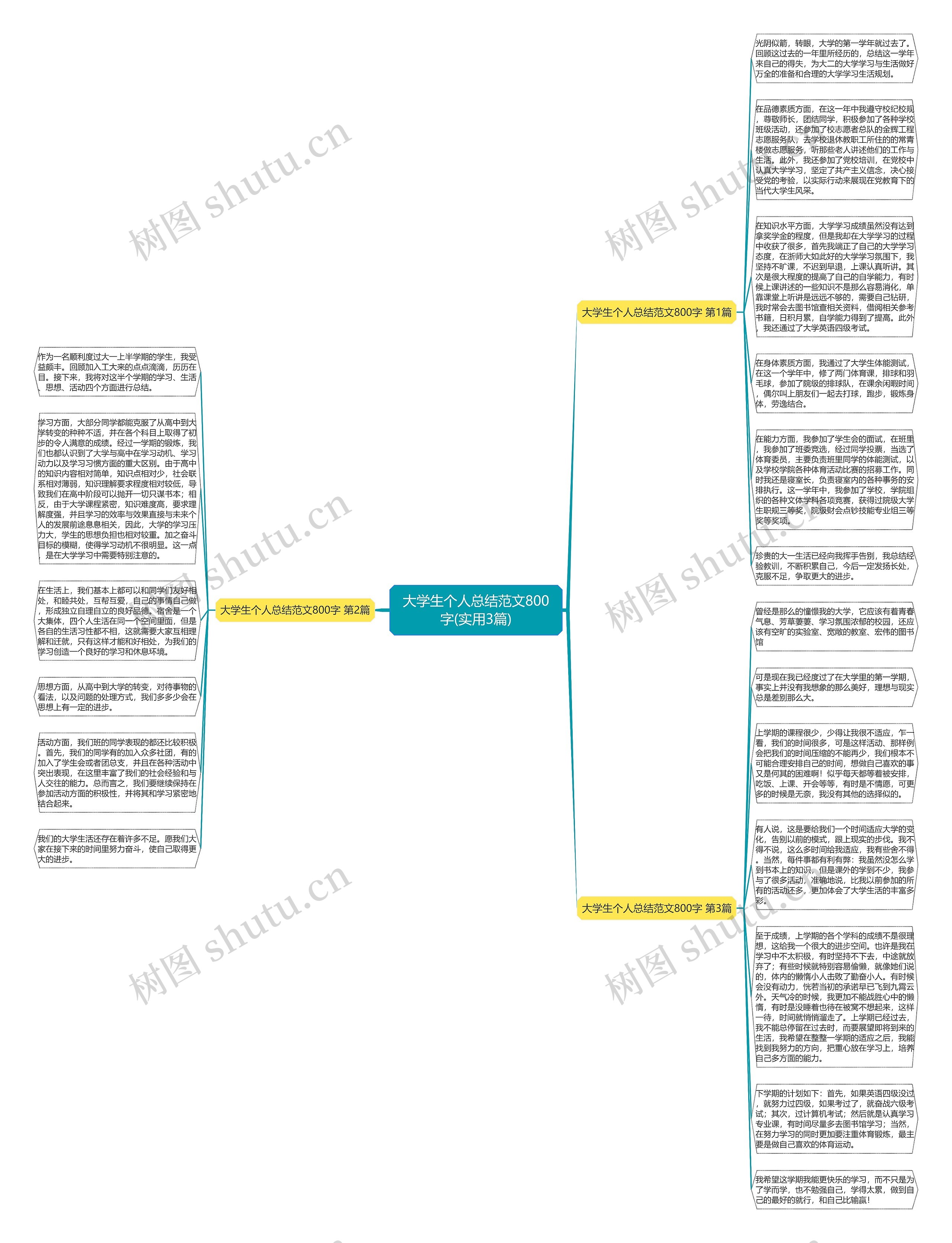 大学生个人总结范文800字(实用3篇)思维导图
