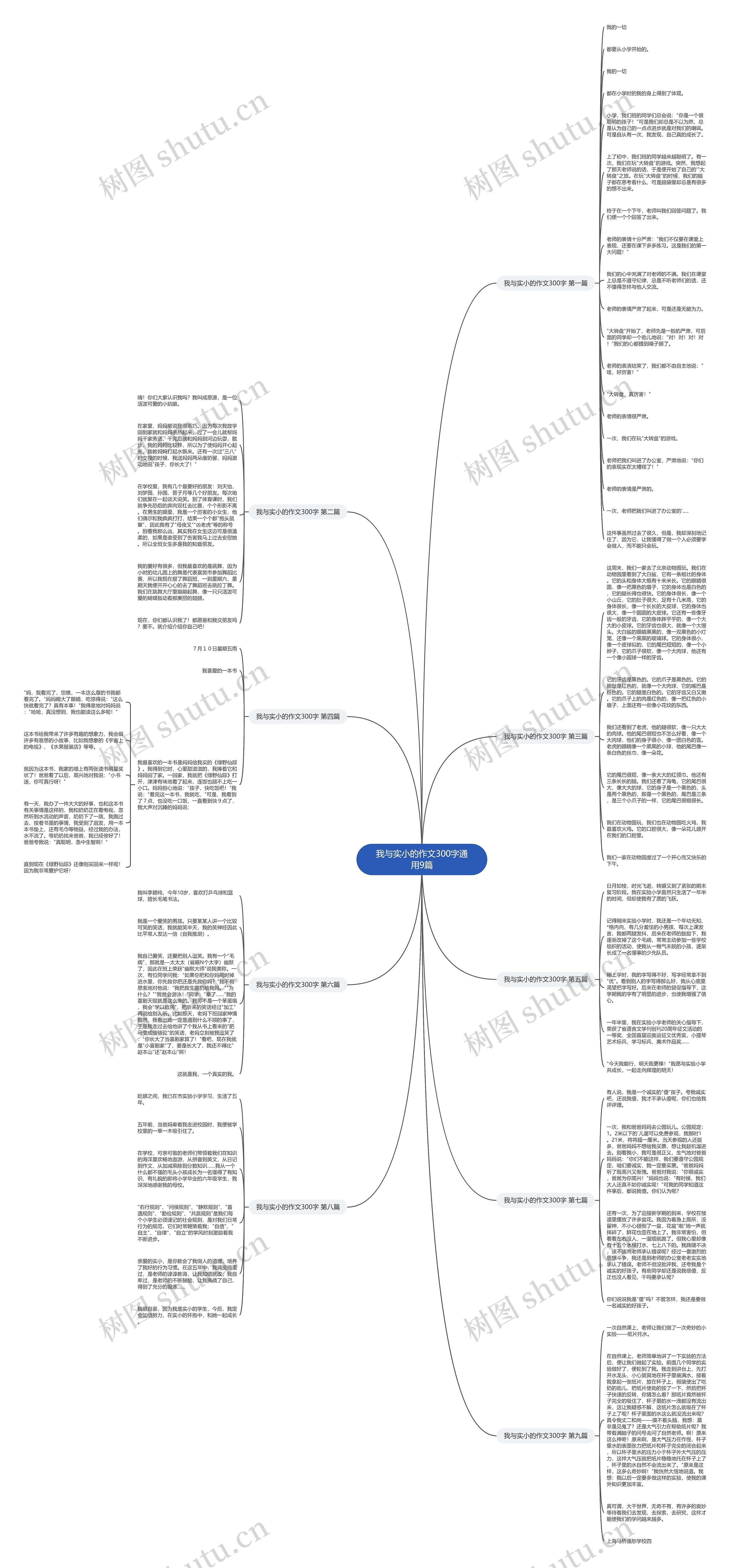 我与实小的作文300字通用9篇思维导图