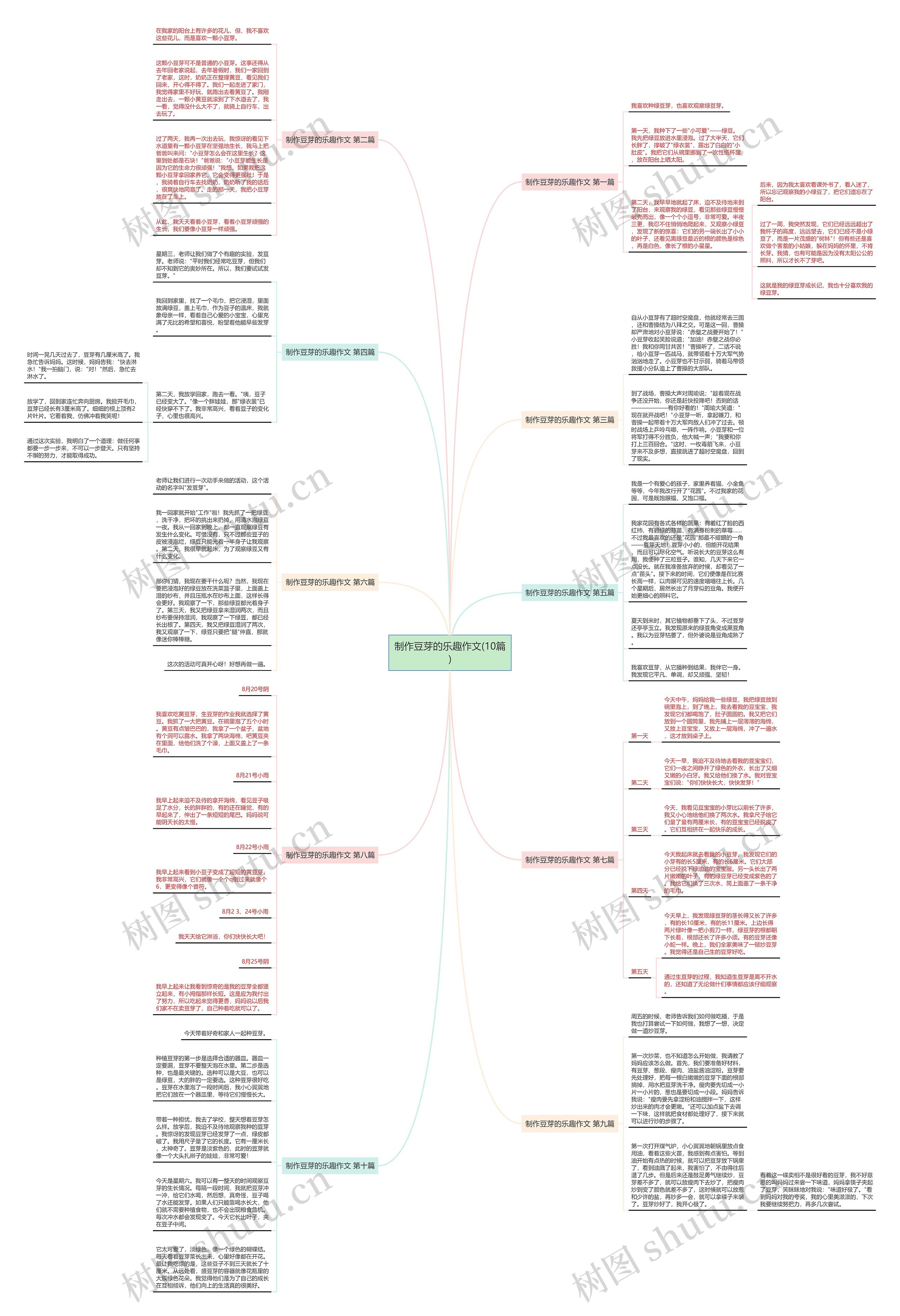 制作豆芽的乐趣作文(10篇)思维导图