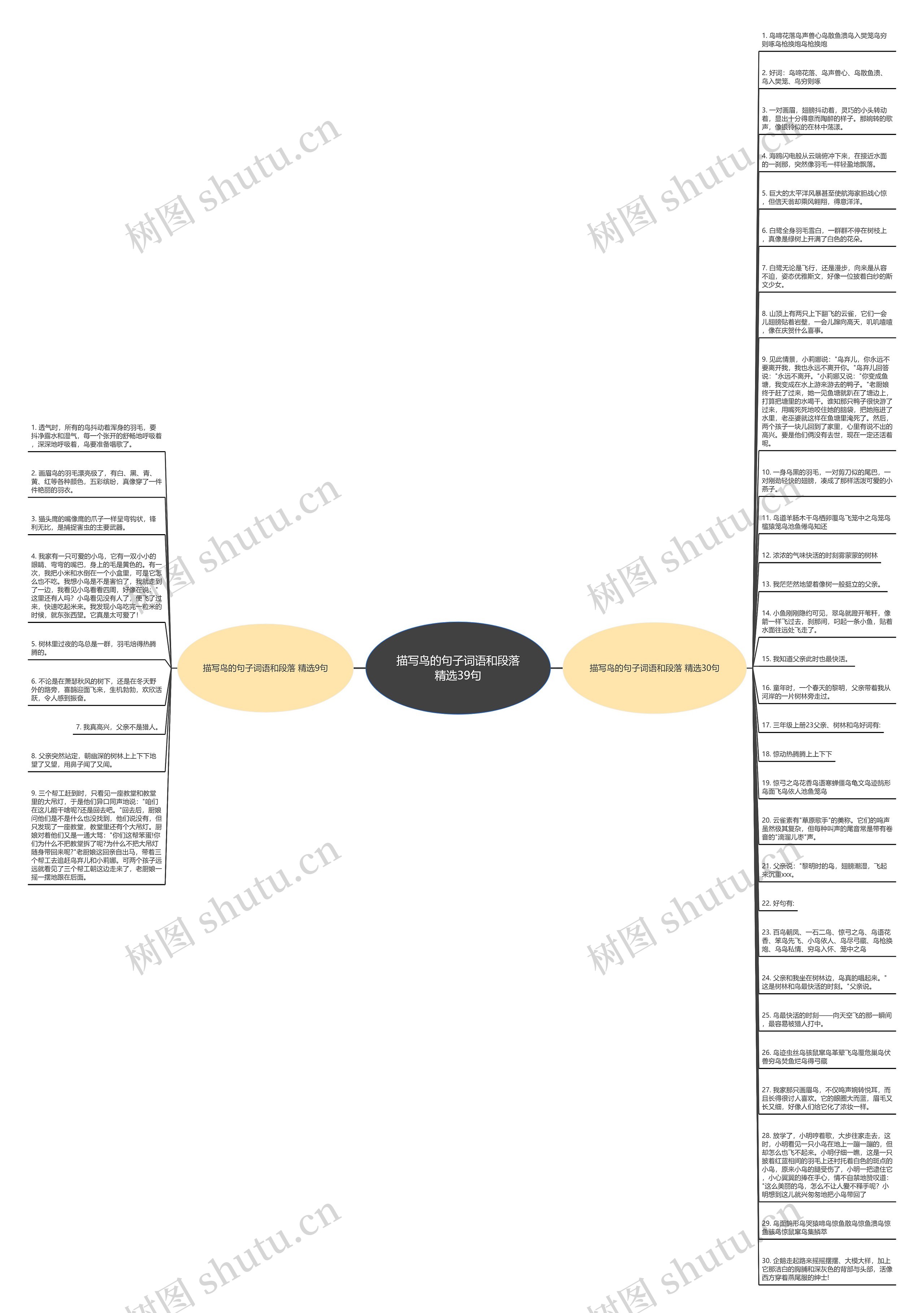 描写鸟的句子词语和段落精选39句思维导图