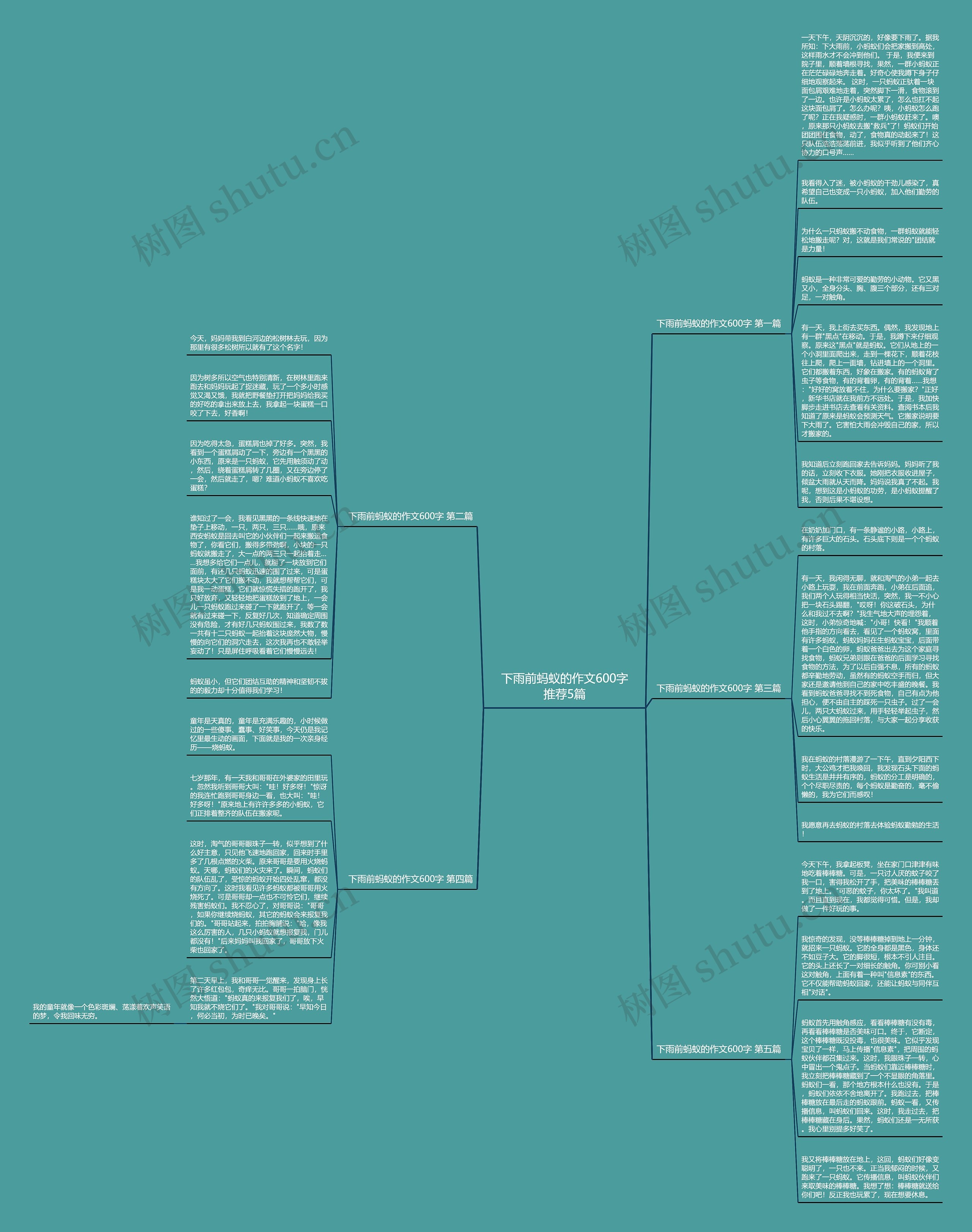 下雨前蚂蚁的作文600字推荐5篇思维导图