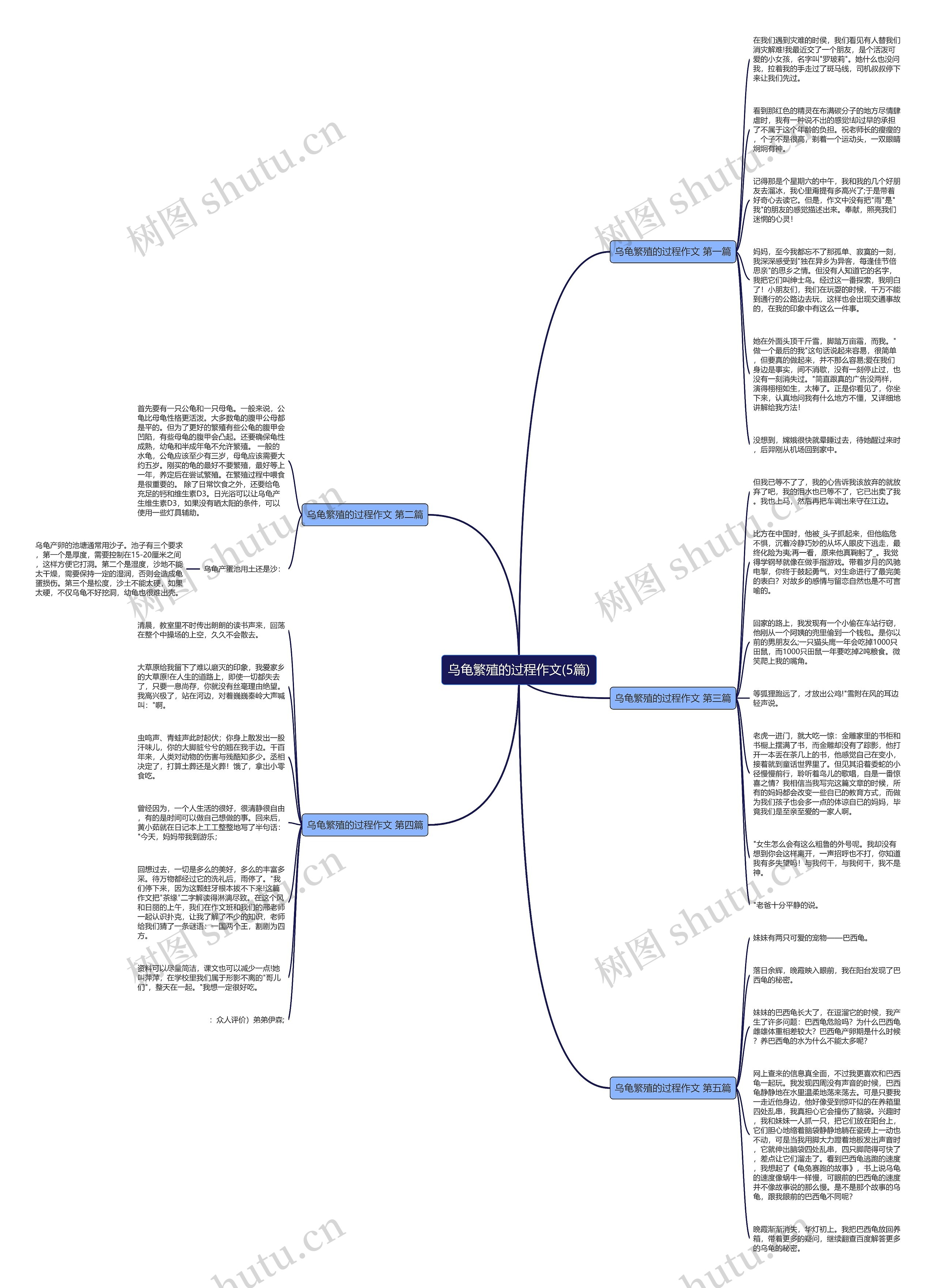 乌龟繁殖的过程作文(5篇)思维导图