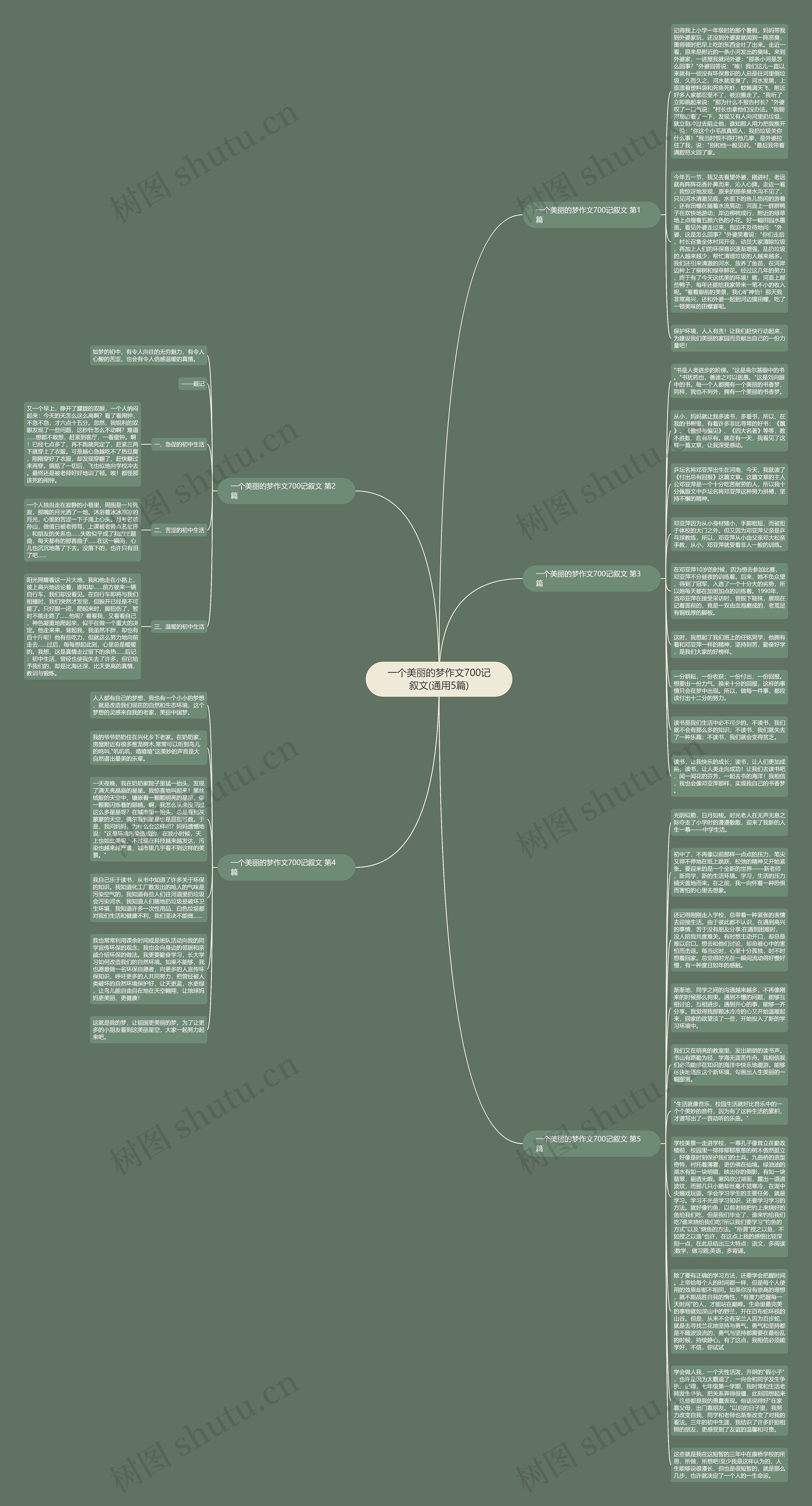 一个美丽的梦作文700记叙文(通用5篇)思维导图