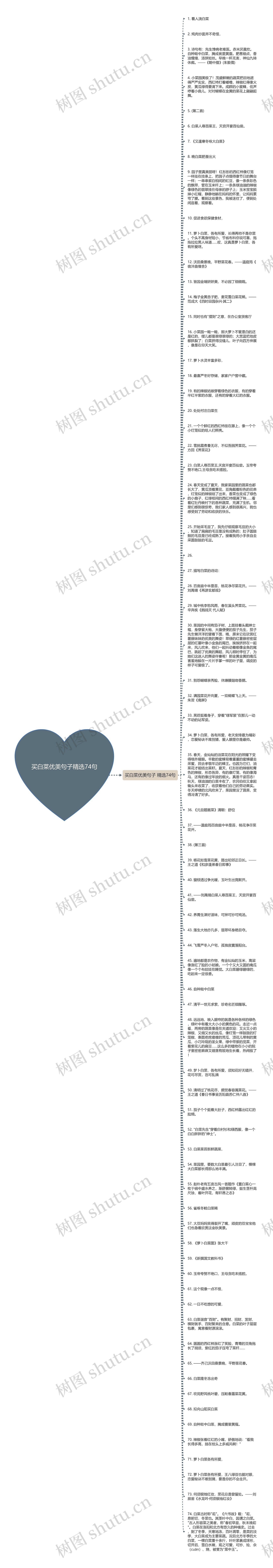 买白菜优美句子精选74句思维导图