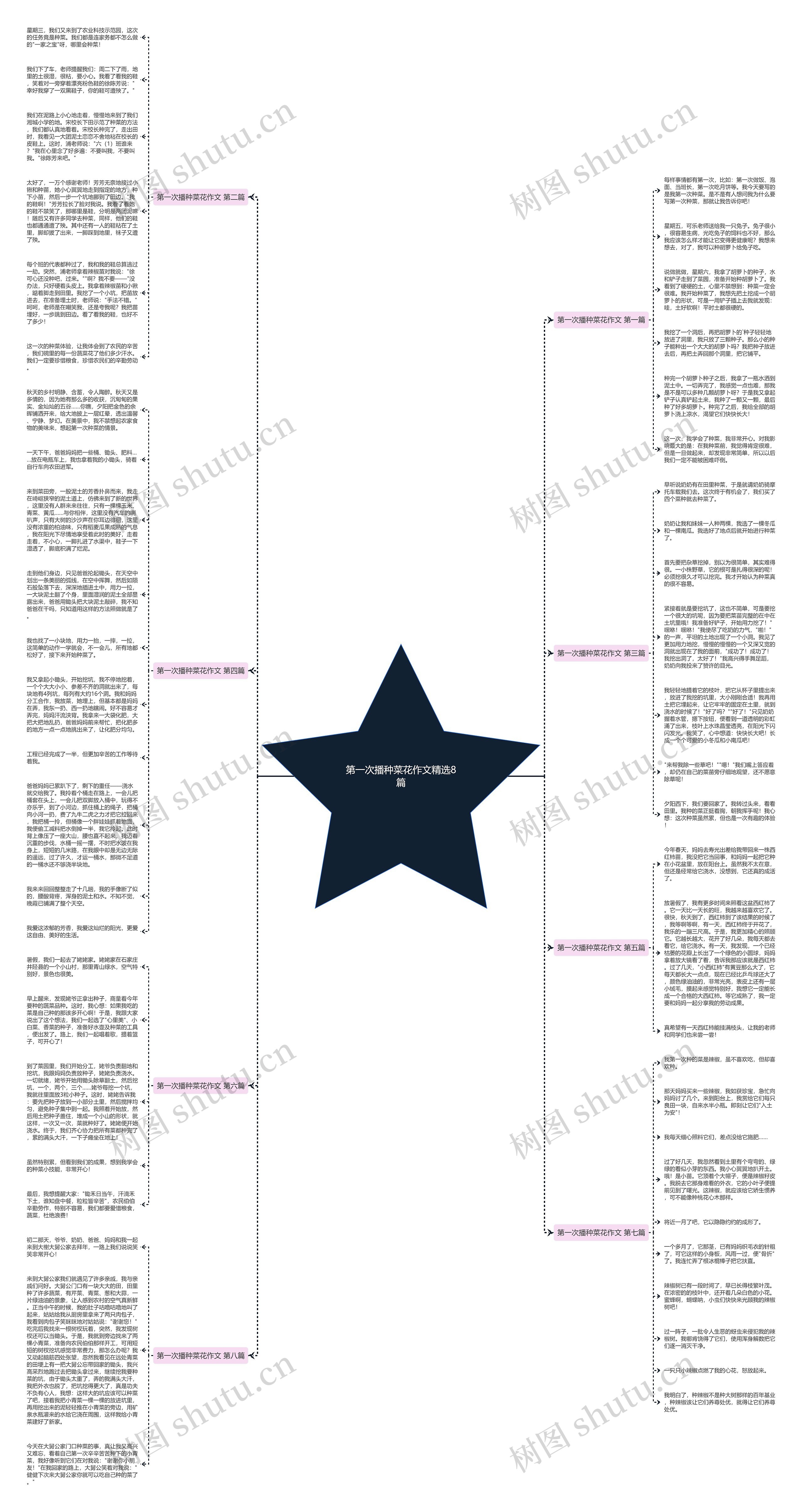 第一次播种菜花作文精选8篇思维导图