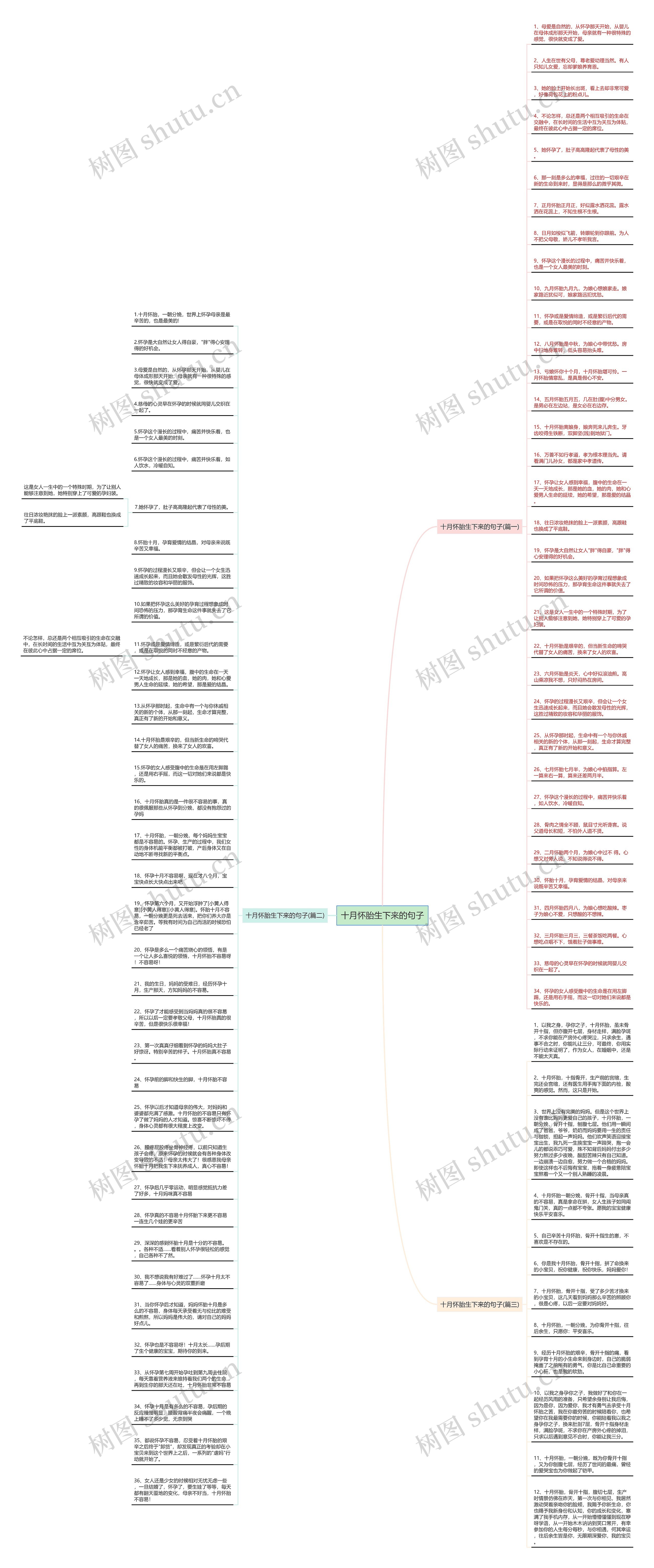 十月怀胎生下来的句子思维导图