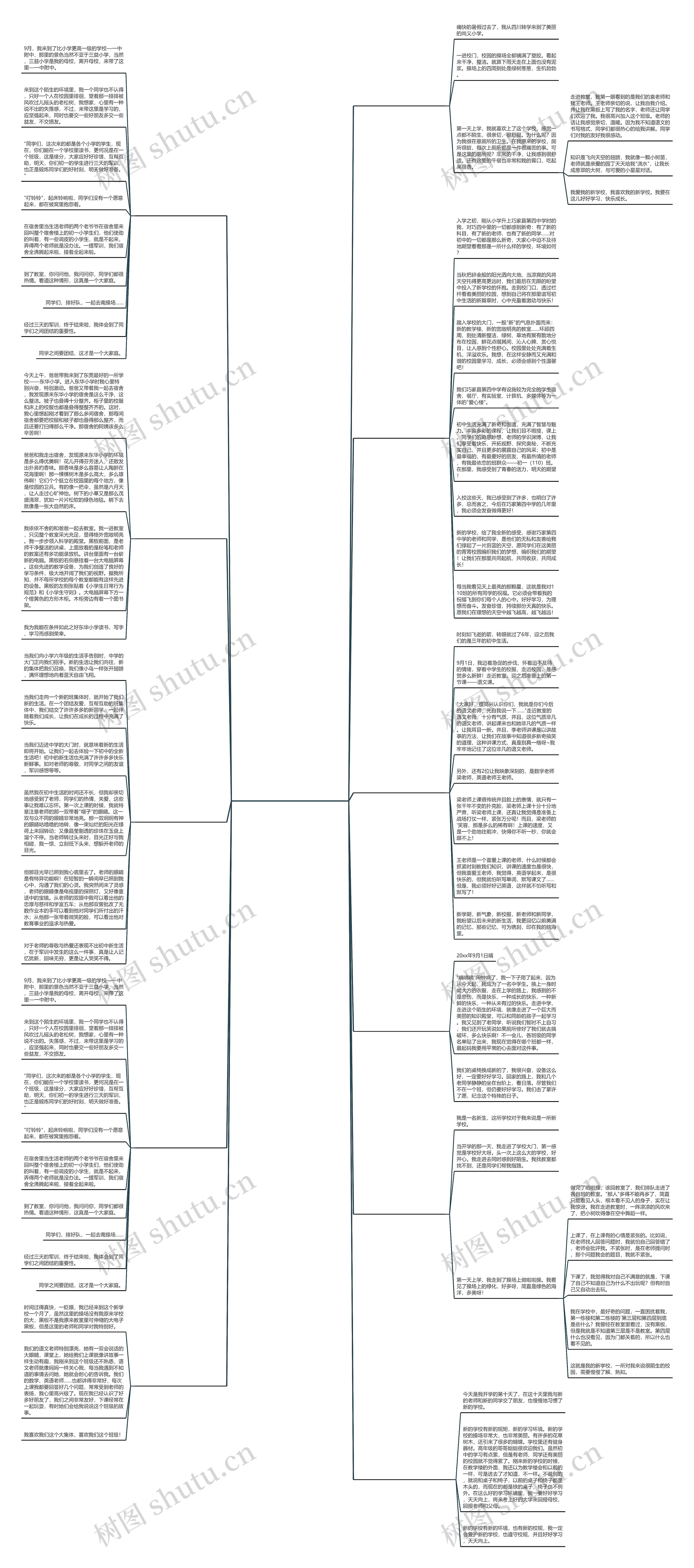 到新学校时的感受作文共12篇思维导图