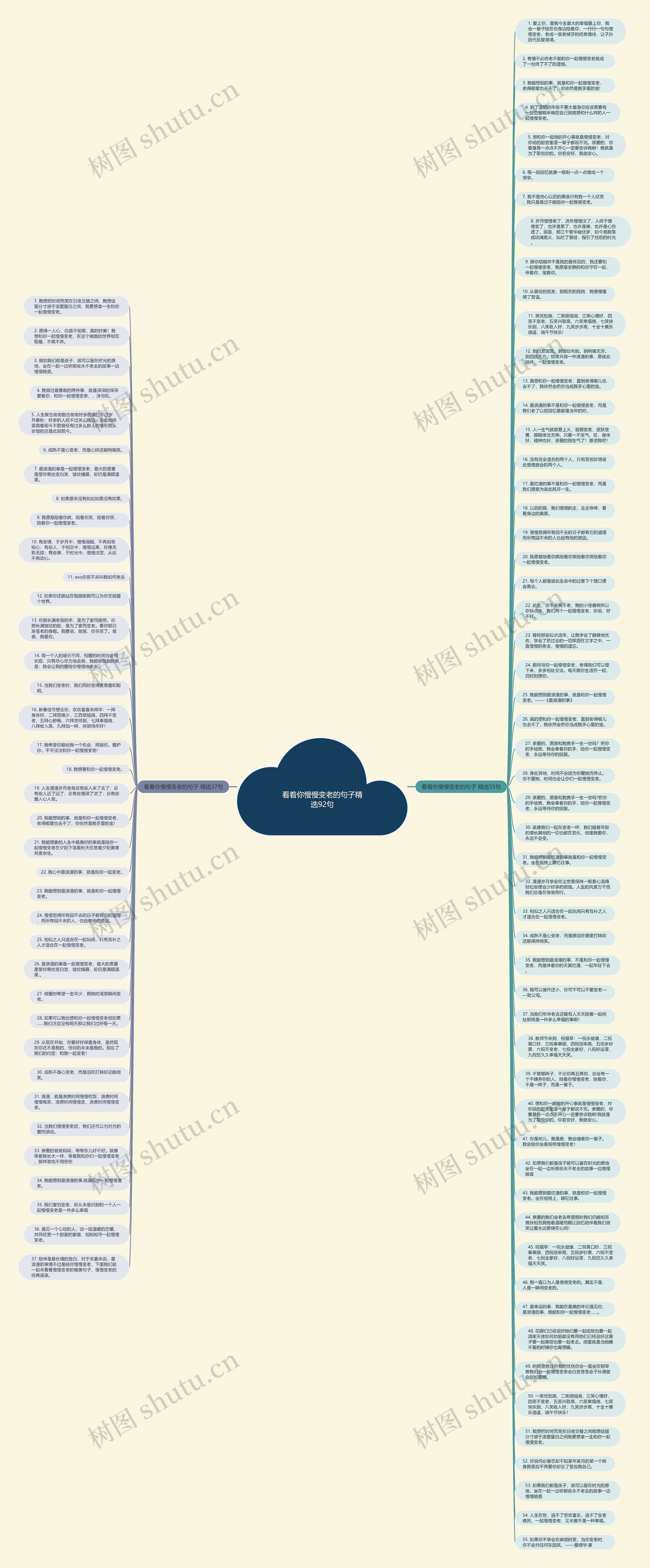 看着你慢慢变老的句子精选92句思维导图