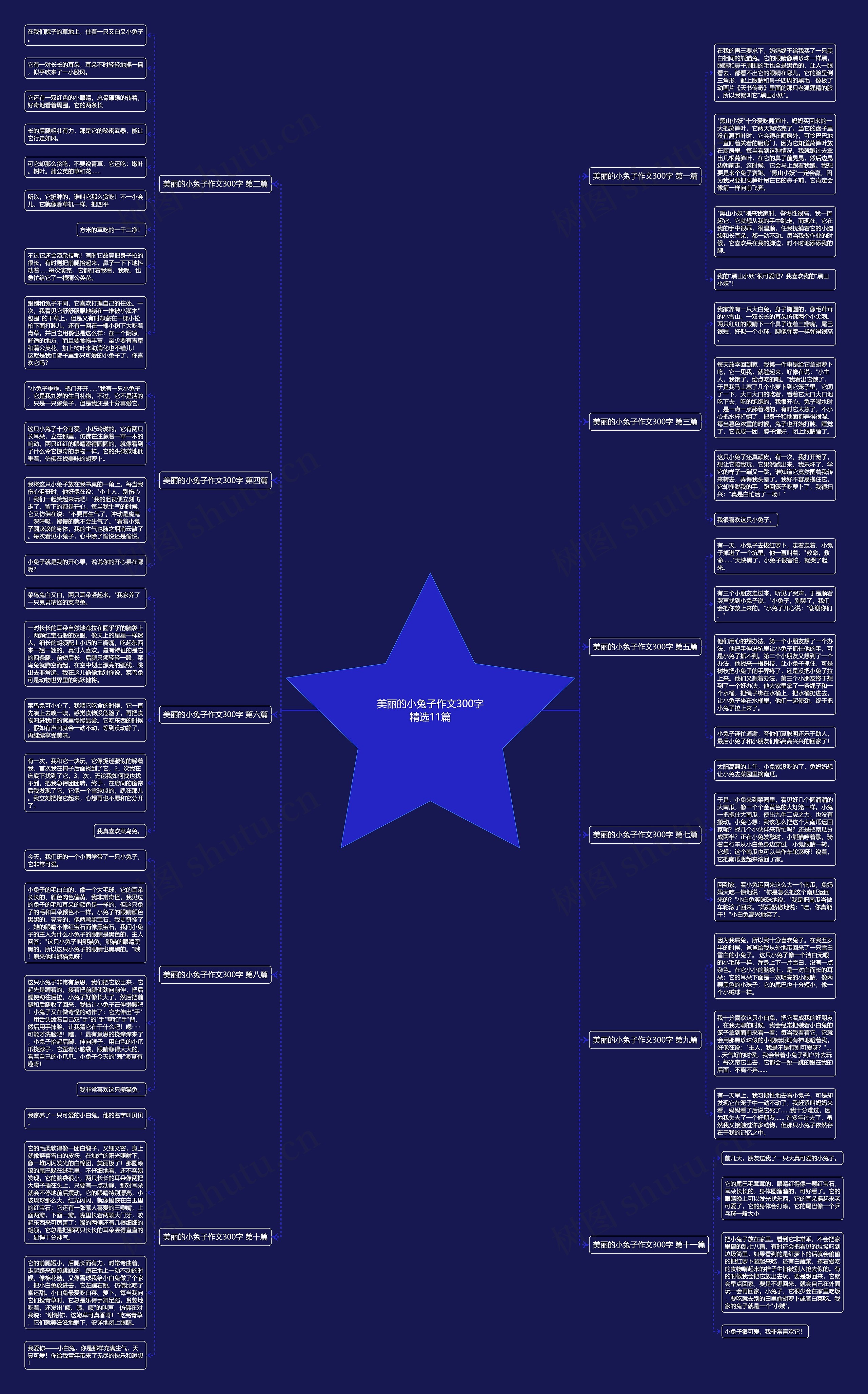 美丽的小兔子作文300字精选11篇思维导图