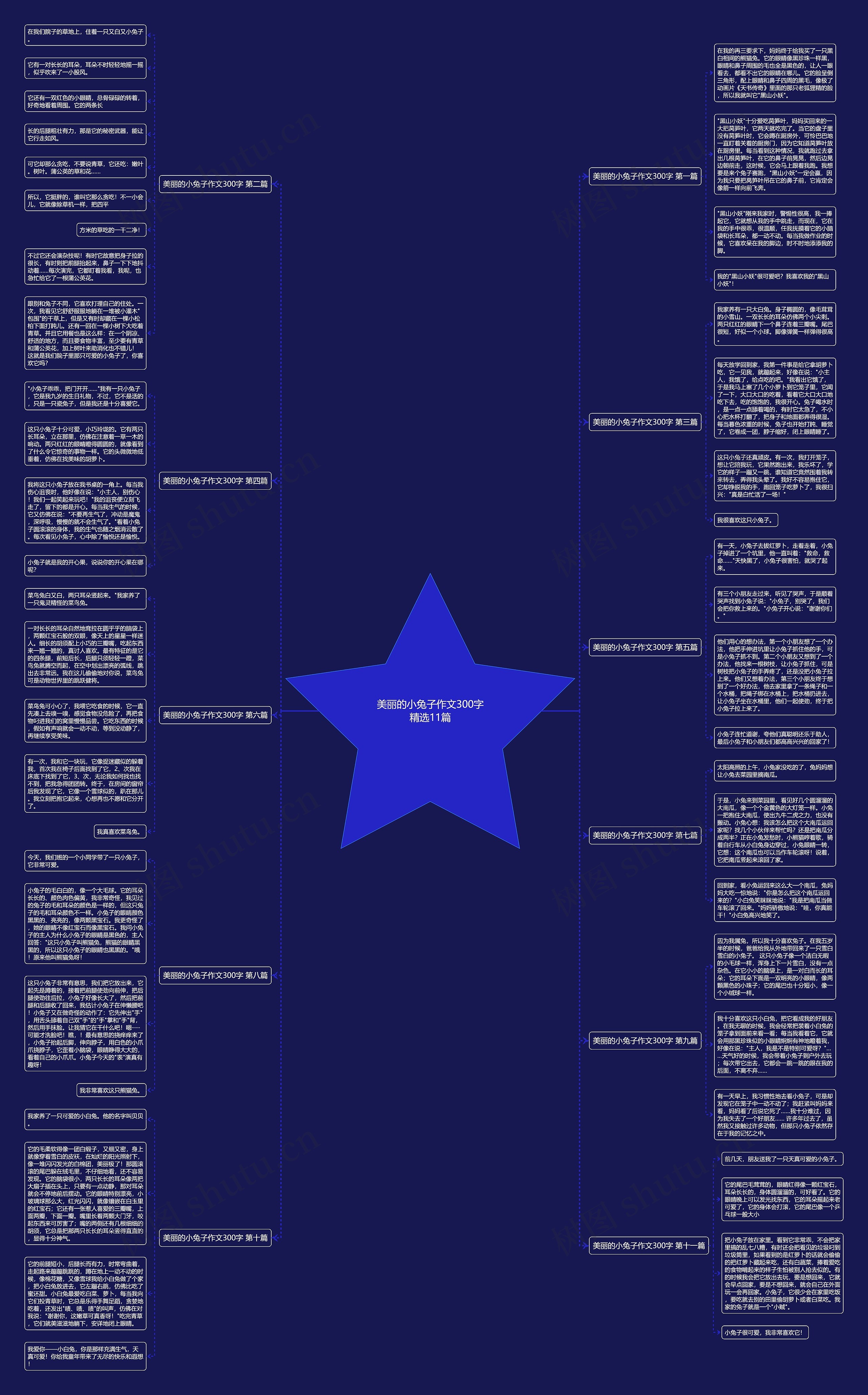 美丽的小兔子作文300字精选11篇 美丽的小兔子作文300字精选11篇