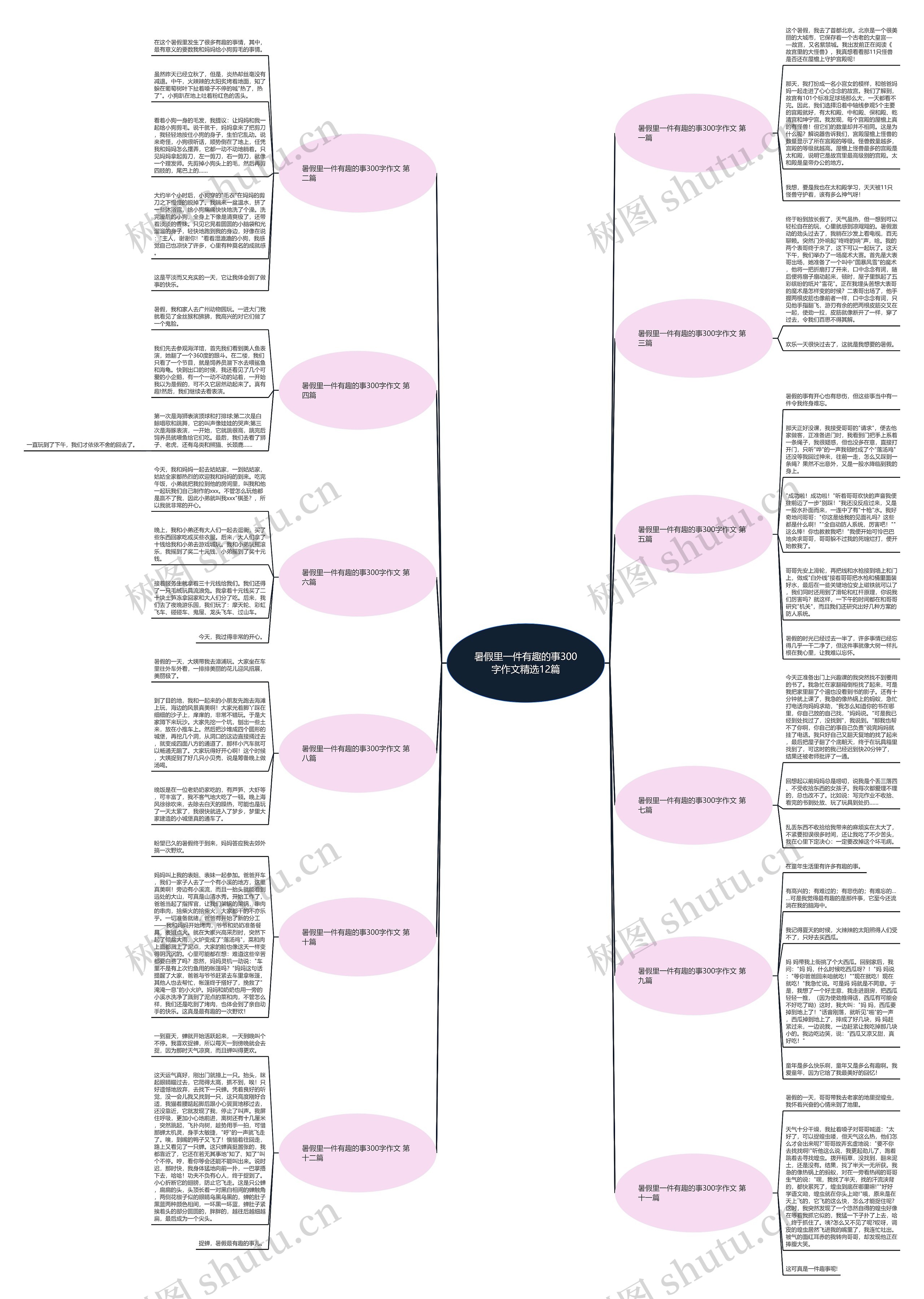 暑假里一件有趣的事300字作文精选12篇思维导图
