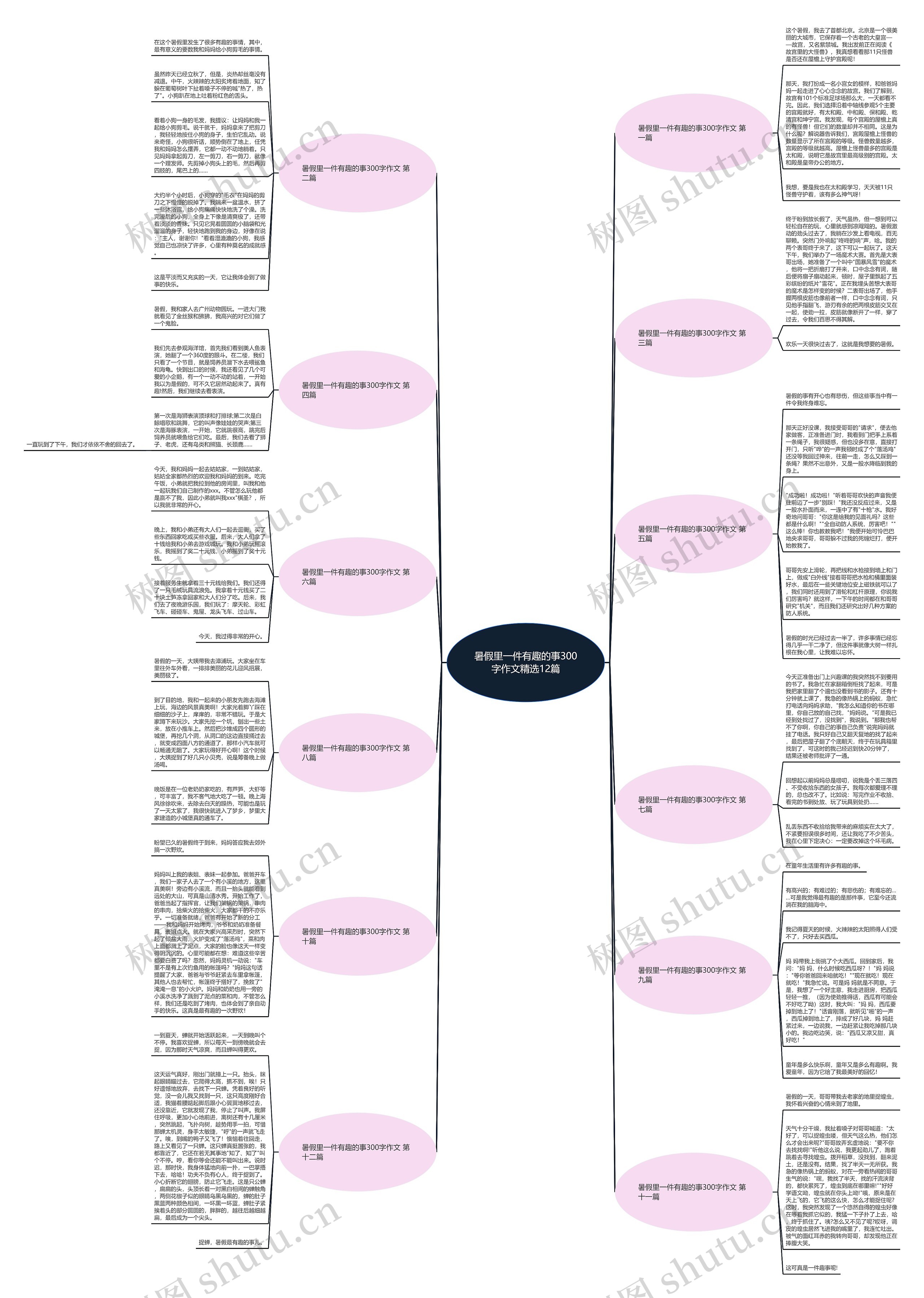 暑假里一件有趣的事300字作文精选12篇 暑假里一件有趣的事300字作文精选12篇